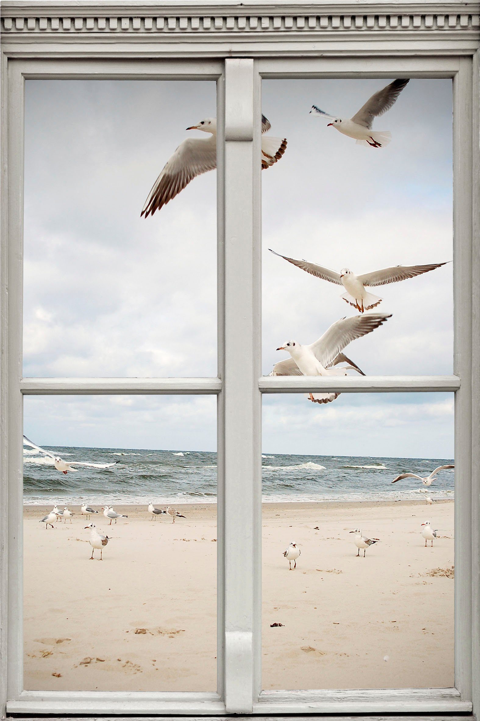 queence Wandfolie Möwen am Strand