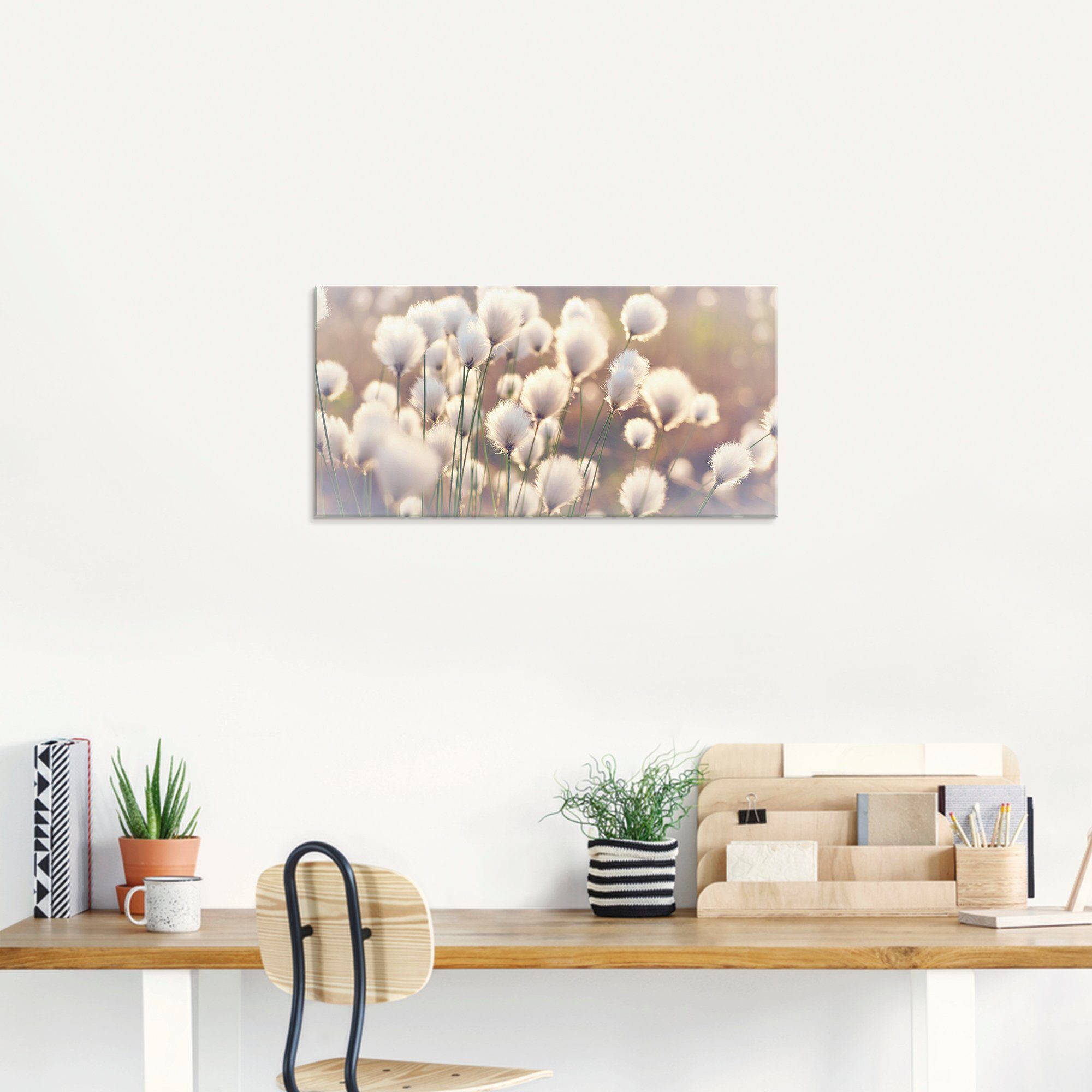 Artland Print op glas Wolgrasmagie in het veen