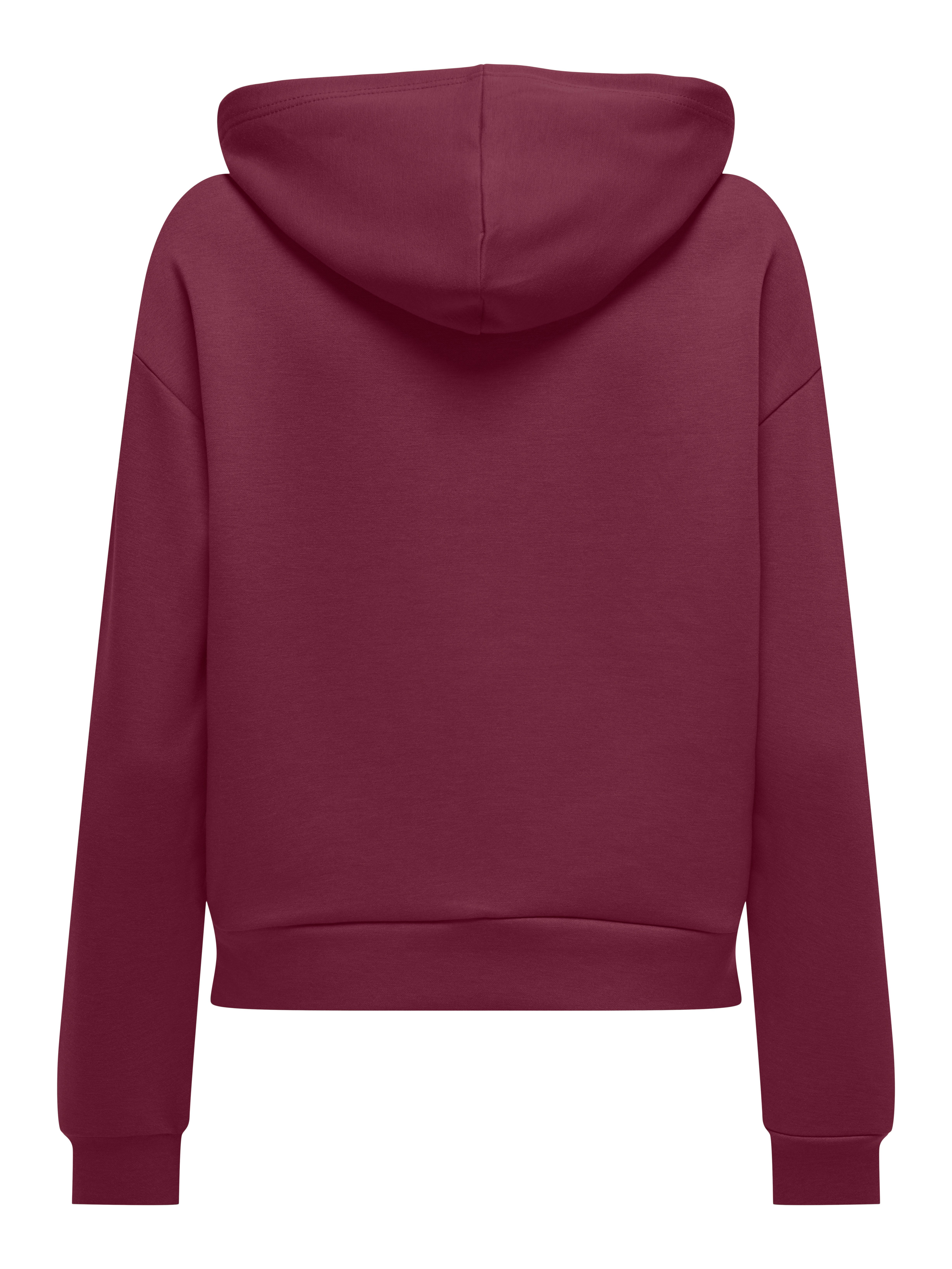 Only Play Hoodie ONPLOUNGE LS HOOD SWEAT - NOOS