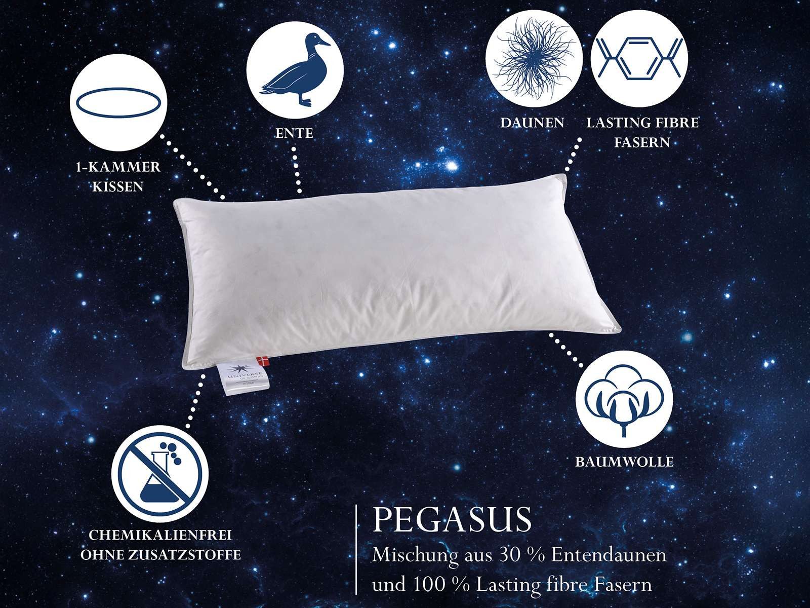 UNIVERSE OF SLEEPING Katoenen kussen Met een mengsel van 50% polyestervezels & 50% veren-donsvulling Hoofdkussen 40x80 cm, duurzaam veerkrachtig, onderhoudsvriendelijk, geschikt voor allergieën