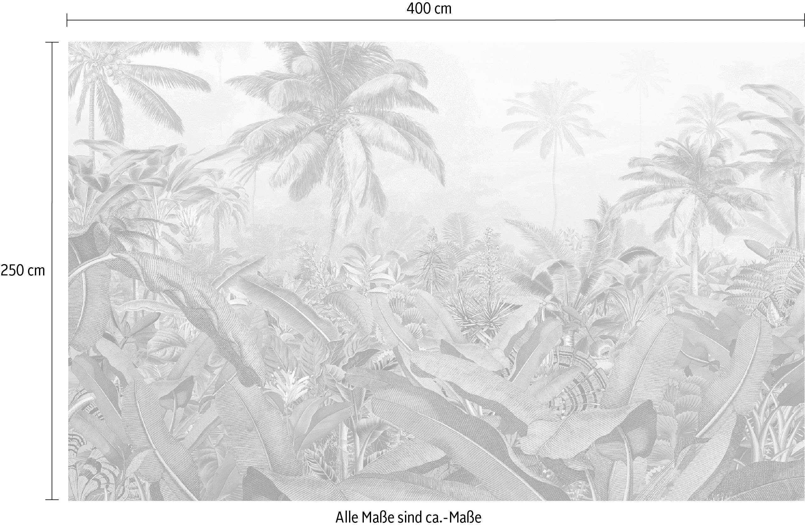 Komar Vliesbehang Digitale print vlies - Amazonia Black & White - Afmeting 400 x 250 cm (1 stuk)