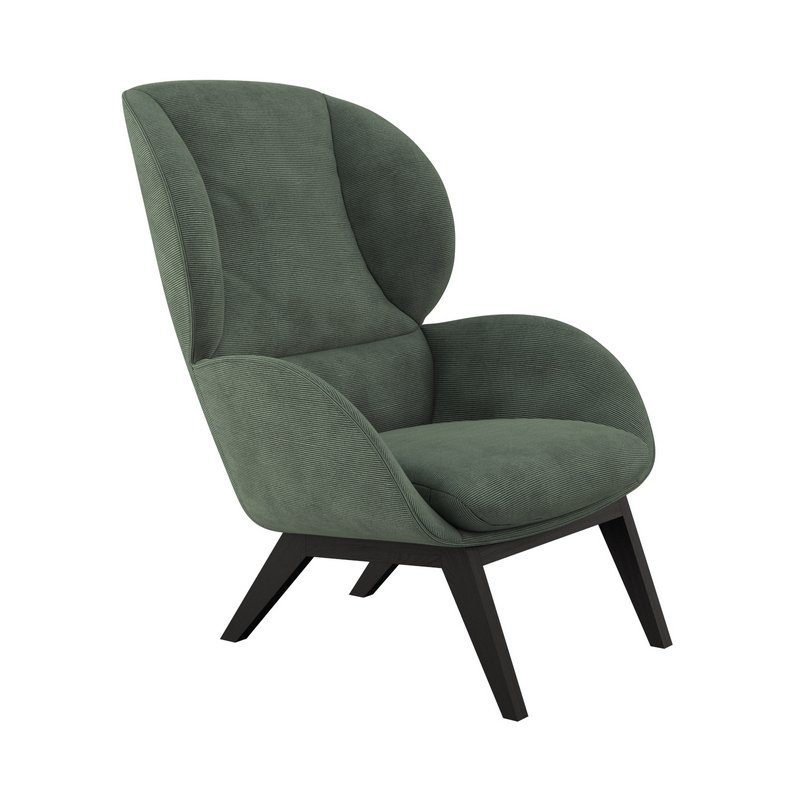 FLEXLUX Oorfauteuil Adria designstoel, loungestoel, Stijl & comfort, organische vorm, zwarte houten voet