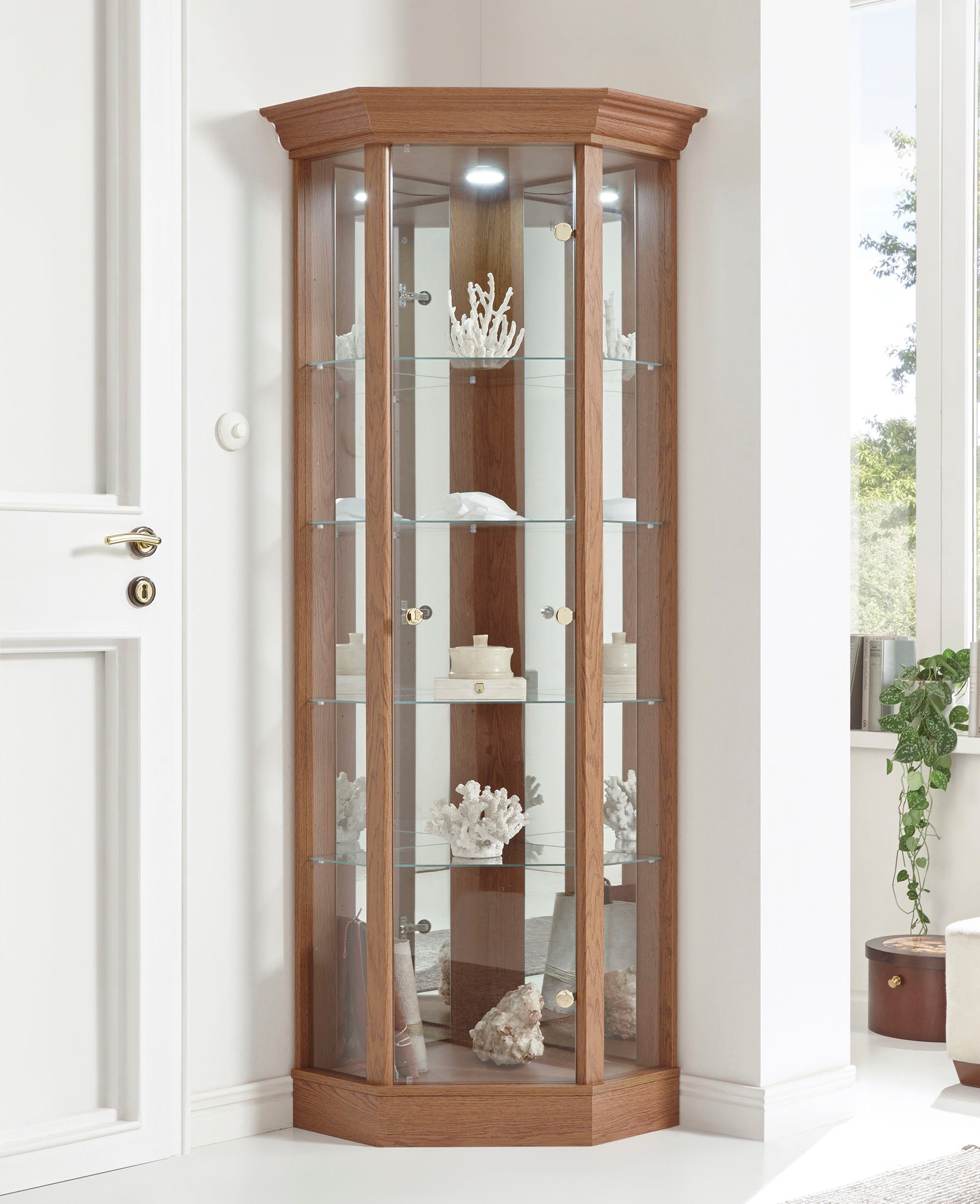 fif möbel Vitrinekast TRIO Hoekvitrine/Glasvitrine 1x Glazen deur, perfect voor verzamelaars, verzamelvitrine