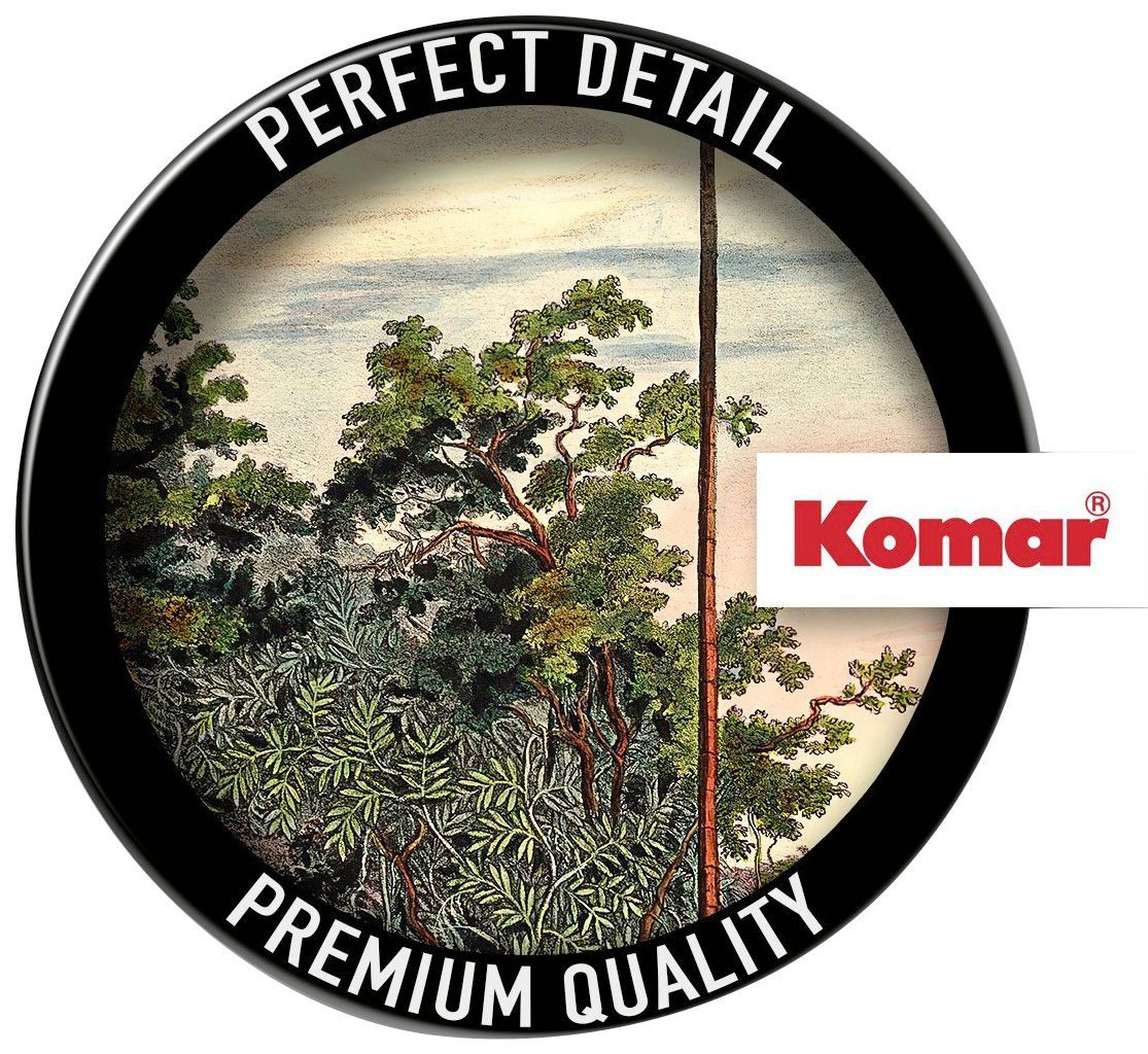 Komar Fotobehang Zelfklevend vlies - Vintage Landscape - Afmeting 125 x 125 cm (1 stuk)