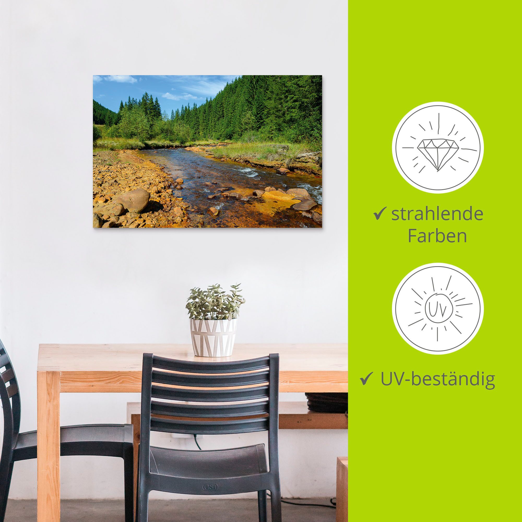 Artland Artprint Rivier Neagra, Caliman-nationaalpark als artprint van aluminium, artprint voor buiten, poster in diverse formaten