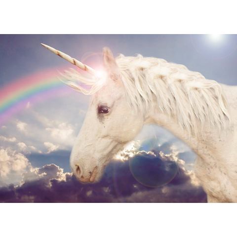 BMD fotobehang Unicorn Rainbow