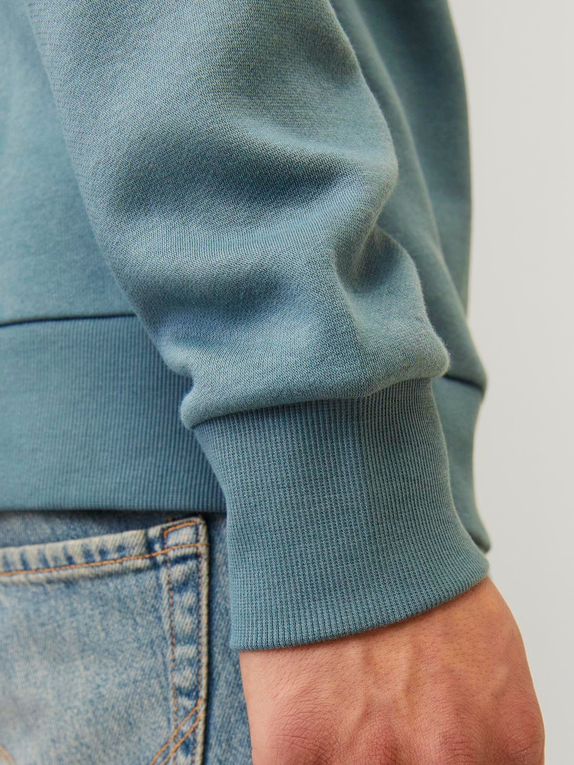 Jack & Jones Hoodie JJELOGO SWEAT HOOD 2 COL 24 25 NOOS