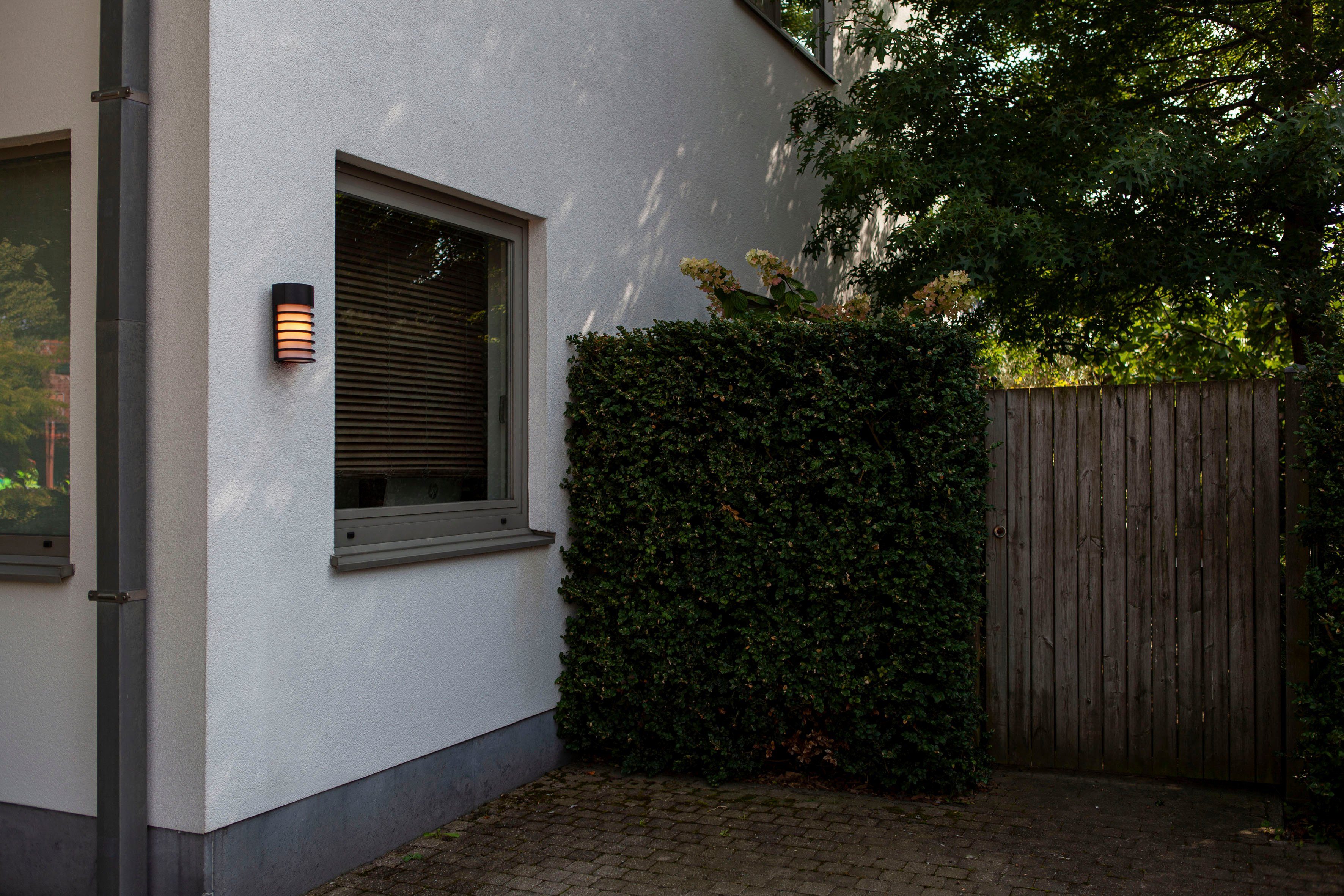 LUTEC Wandlamp voor buiten FULTON (1 stuk)