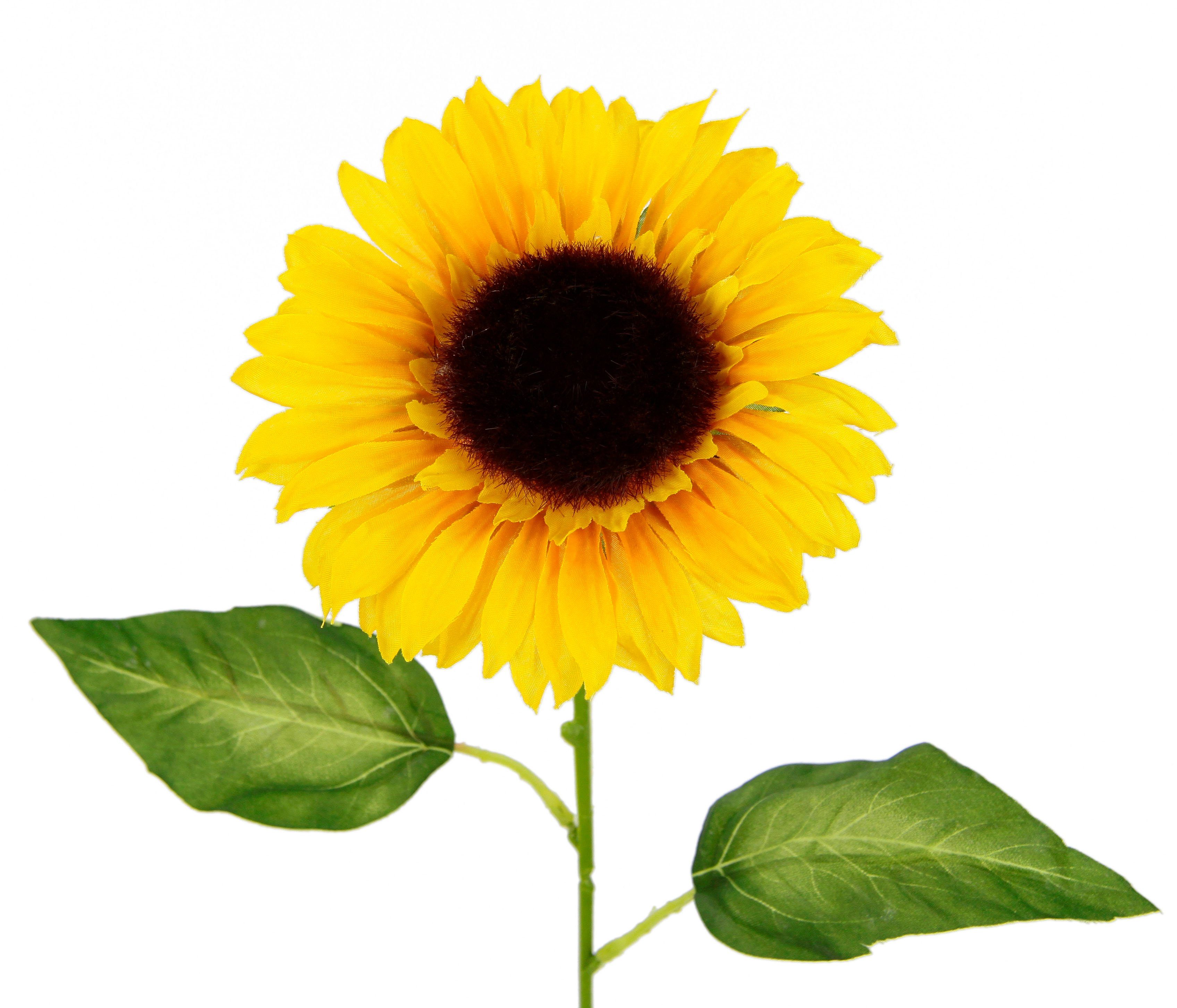 I.GE.A. Kunstbloem Zonnebloem Enkele bloem, steelbloem, 5-delige set (5 stuks)