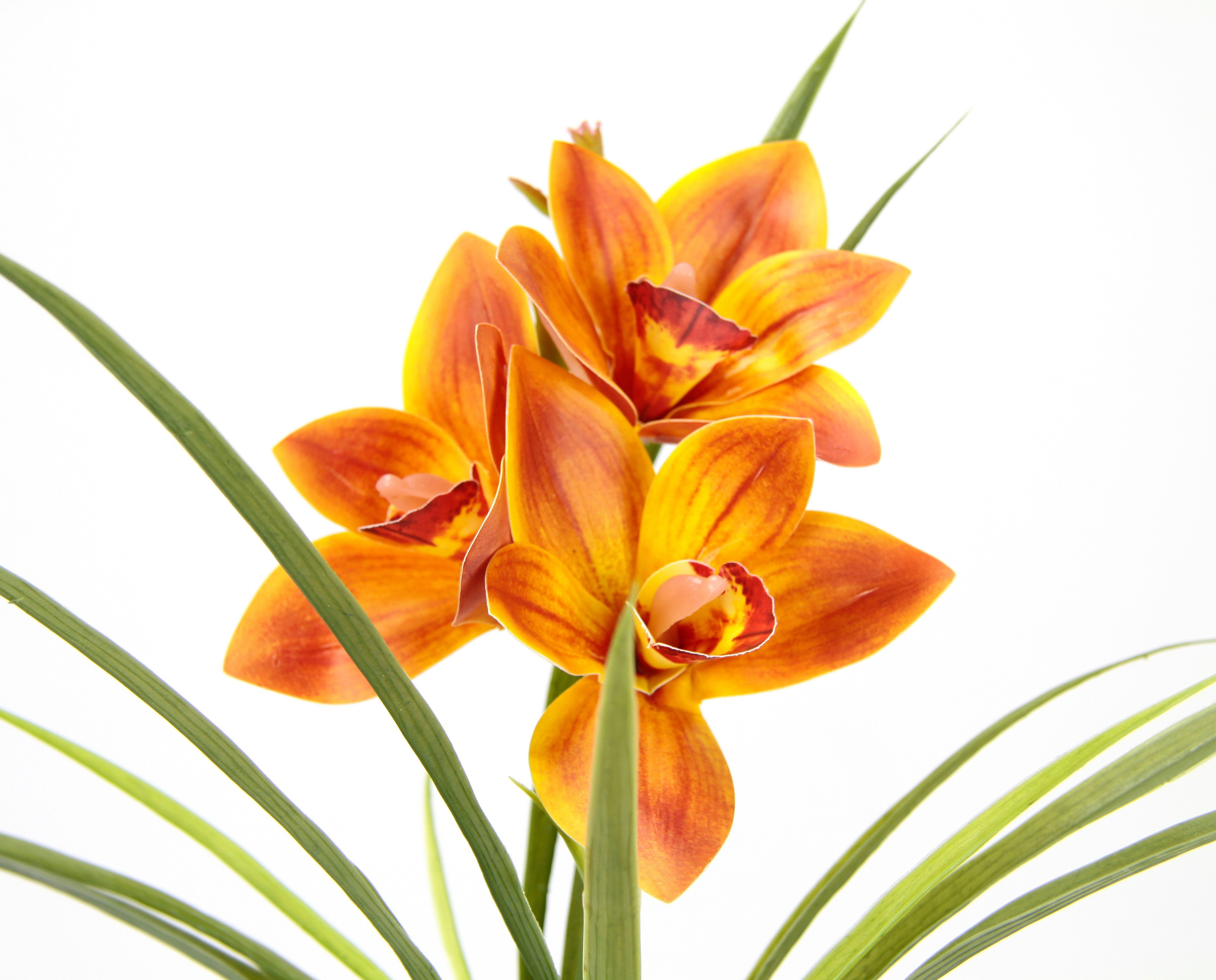 I.GE.A. Kunstbloem Orchidee Met bladeren in pot van keramiek, kunstbloem Cymbidium-orchidee (1 stuk)