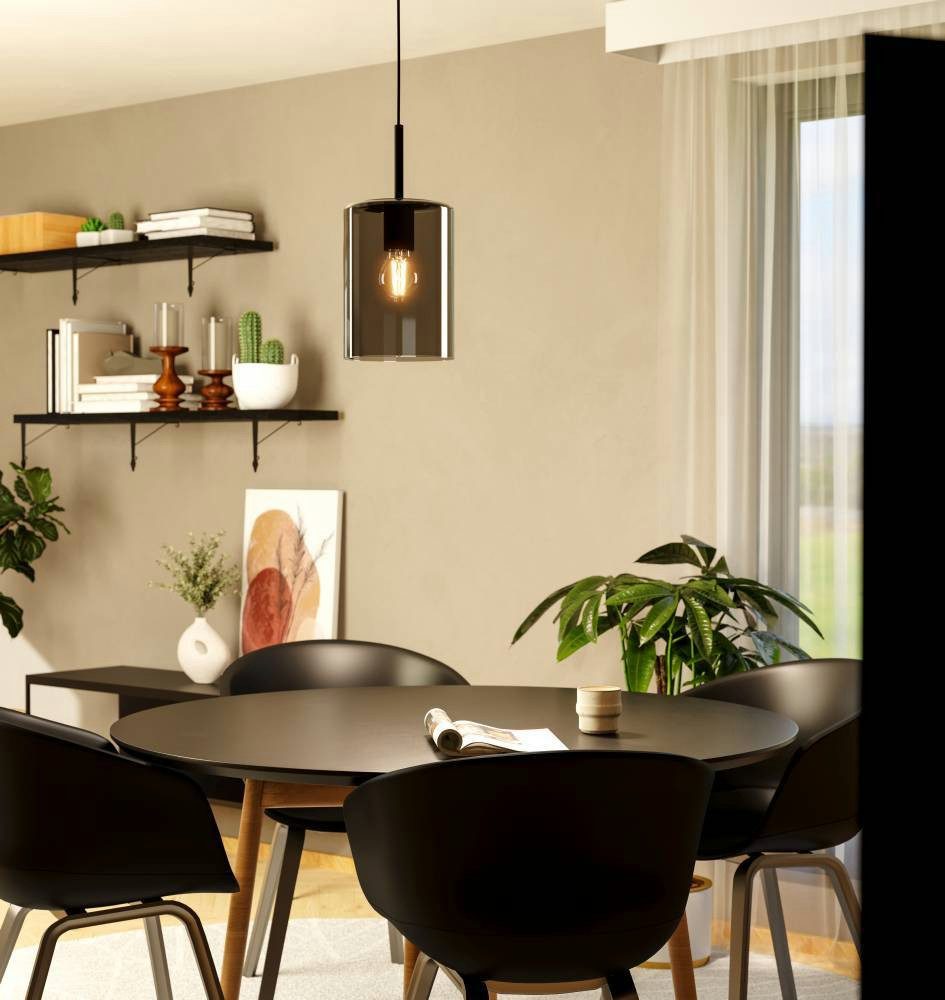 EGLO Hanglamp CADAQUES 1 hanglamp, zwart, rookglas, hanglamp, excl. E27 (1 stuk)