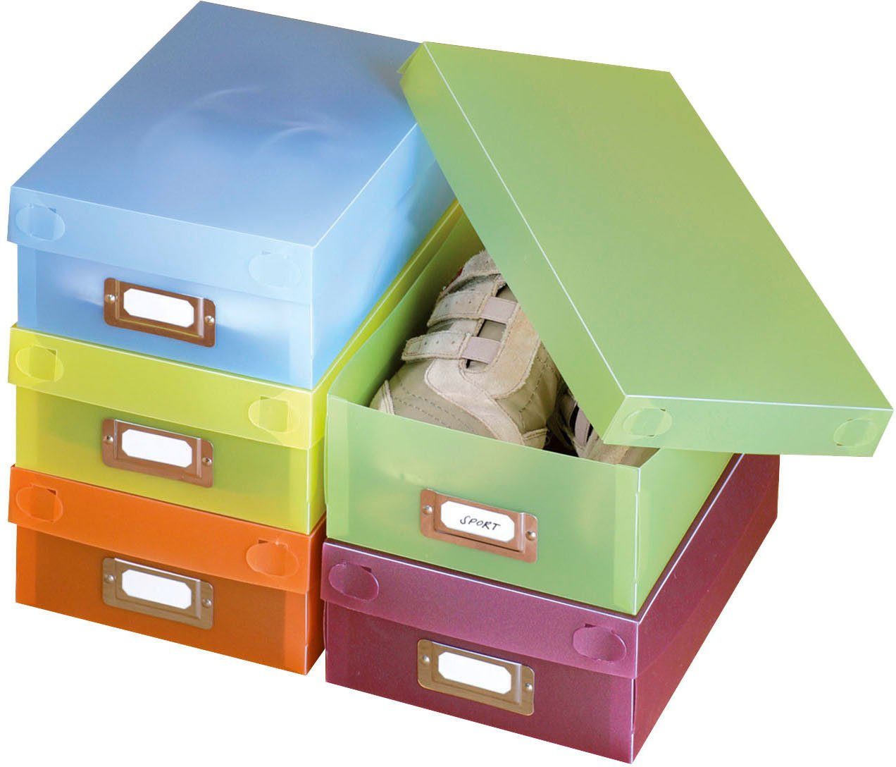 WENKO Schoenenbox Multi-Boxen Polypropyleen (10 stuks)