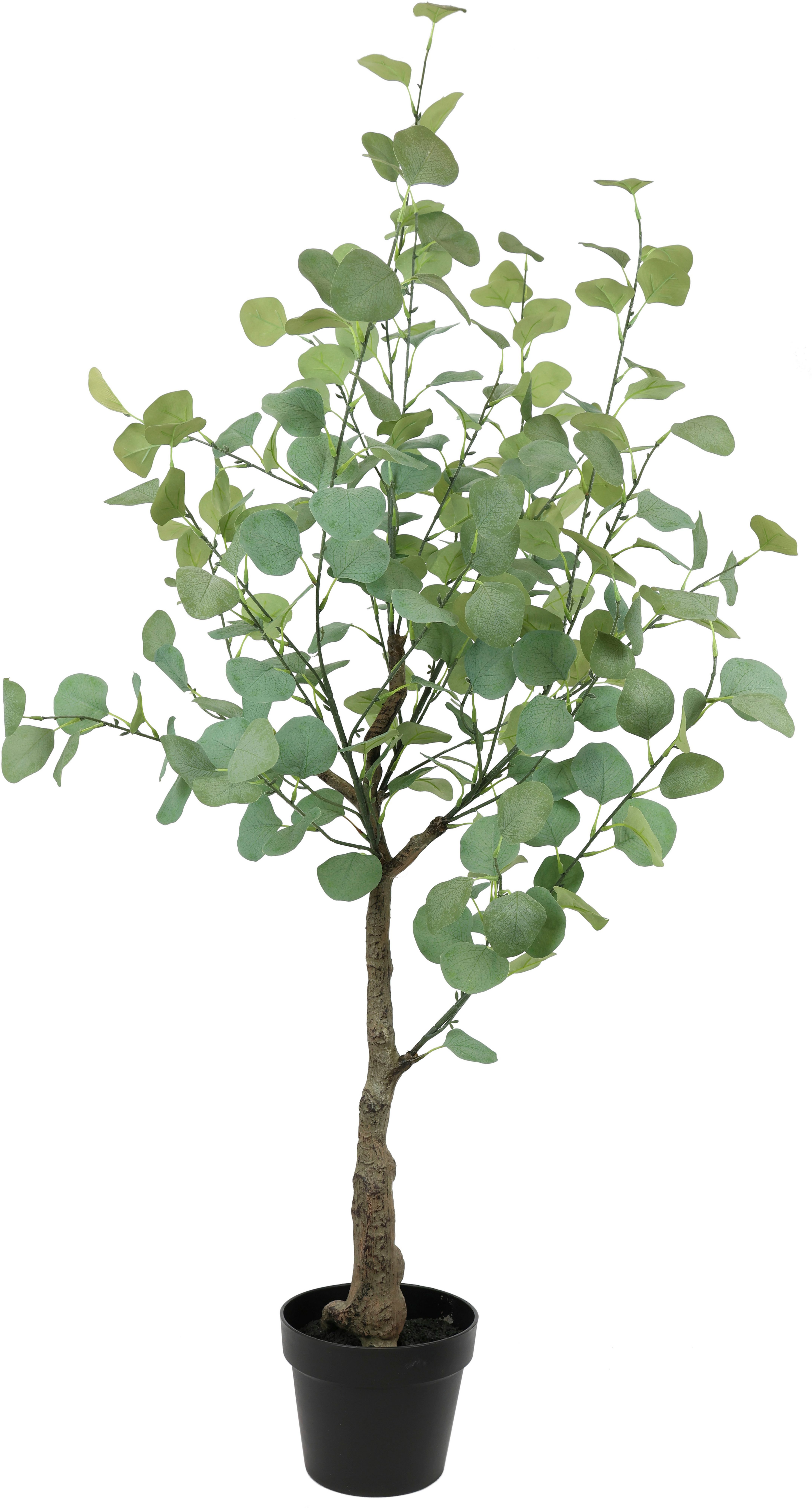 I.GE.A. Kunstplant Kunstboom eucalyptus in pot plant decoratie struik Kunstbloem, kunst, groene planten, zilver dollar bladeren (1 stuk)