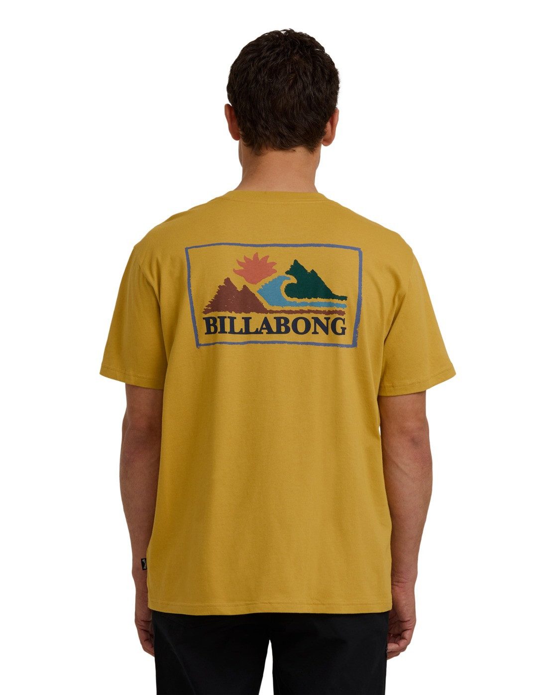 Billabong T-shirt Range A/DIV
