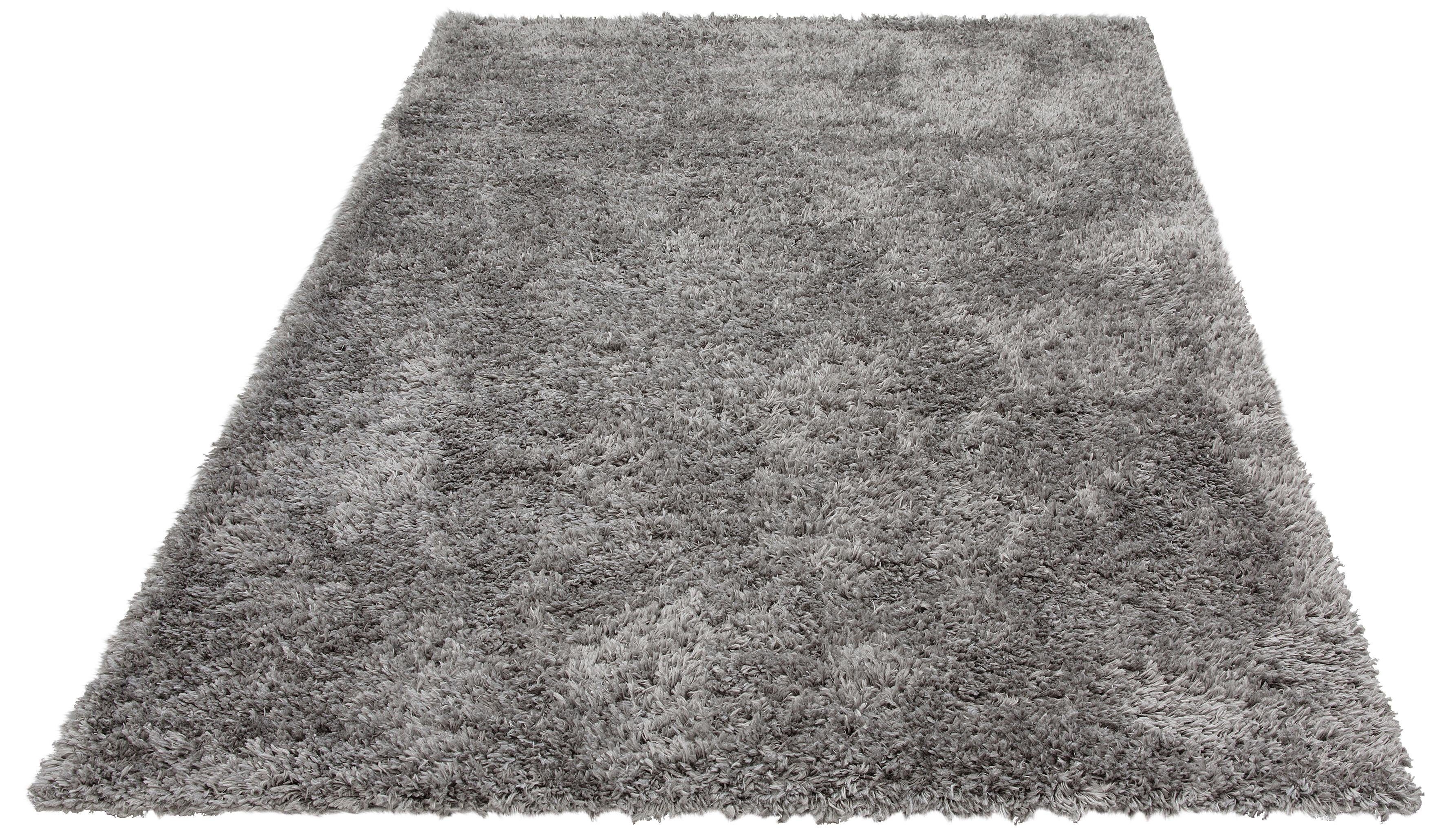 my home Hoogpolig vloerkleed Boldo bijzonder zacht door microvezel, shaggy-vloerkleed