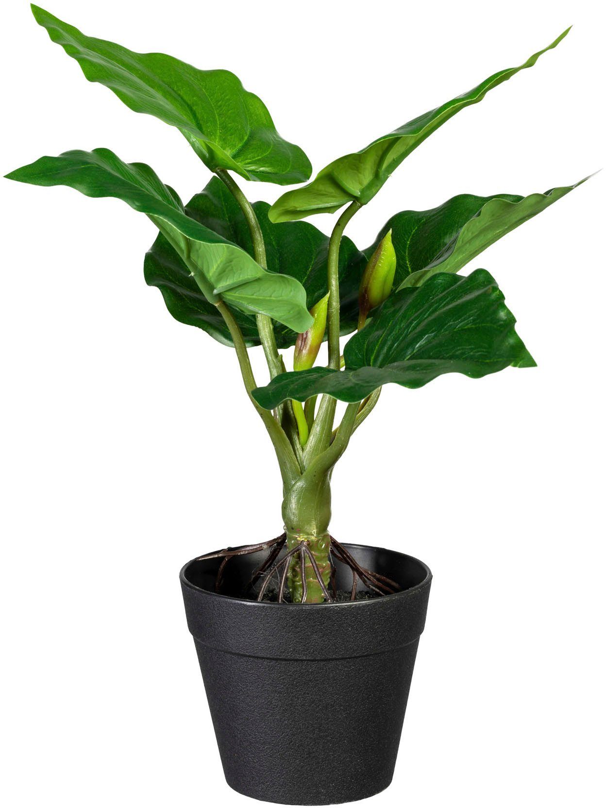 Creativ green Kunst-potplanten Set van groene planten (3 stuks)