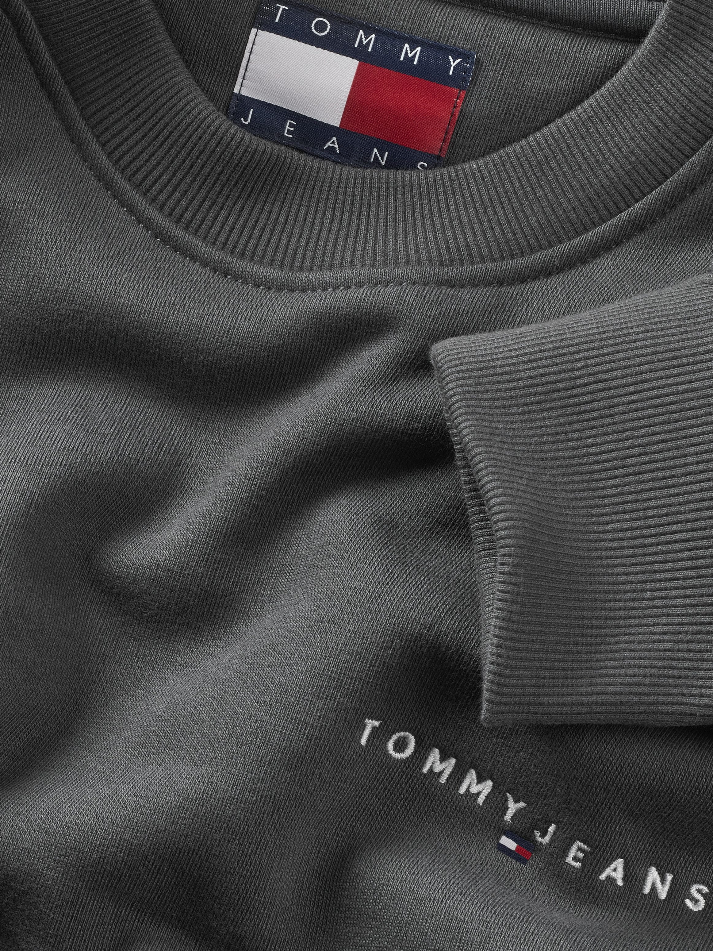 TOMMY JEANS Sweatshirt TJM REG LINEAR CREW EXT