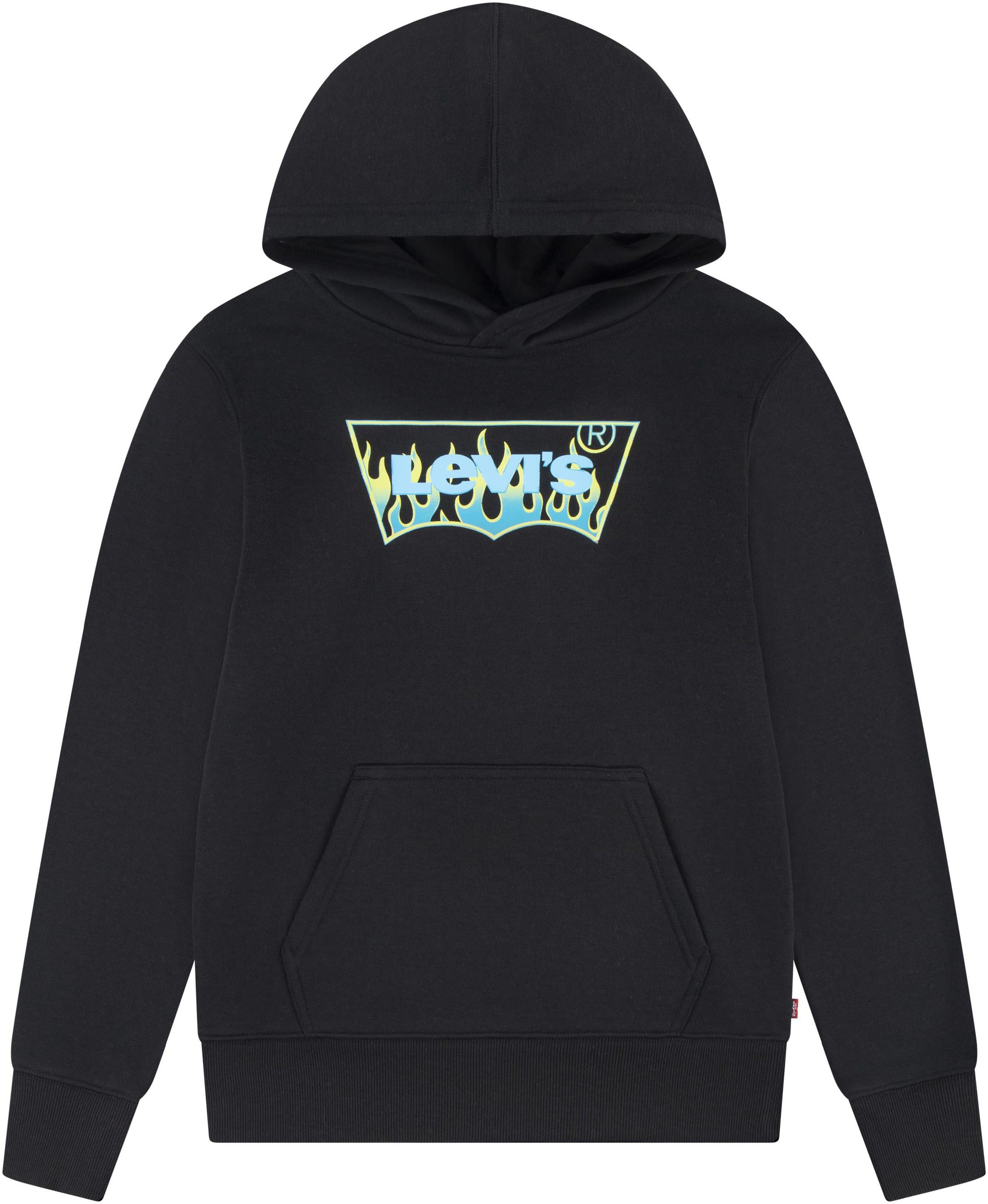 Levi's Kidswear Hoodie LVB BATWING FILL HOODIE