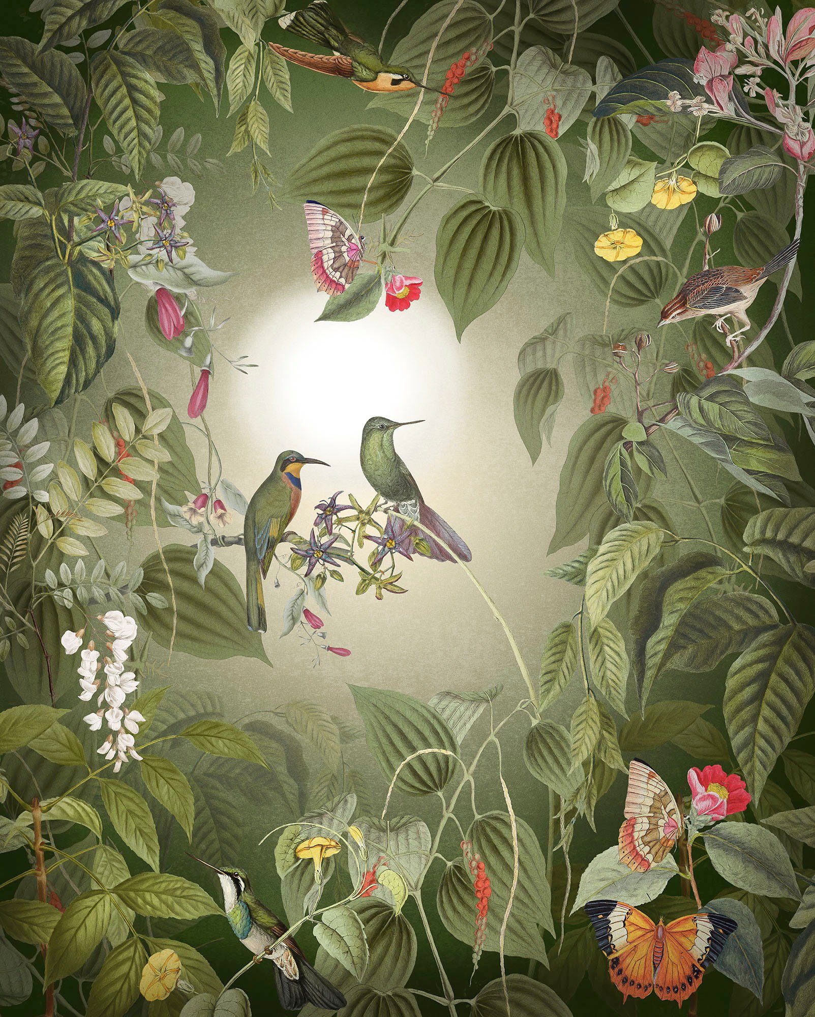 Komar Vliesbehang Digitale print vlies - Wildlife Birds - Afmeting 200 x 250 cm (1 stuk) zelfklevend behang multicolor