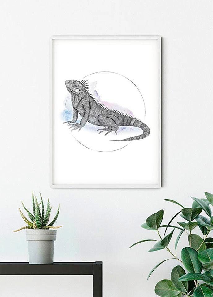 Komar Wanddecoratie Iguana Watercolor Wanddecoratie - zonder lijst