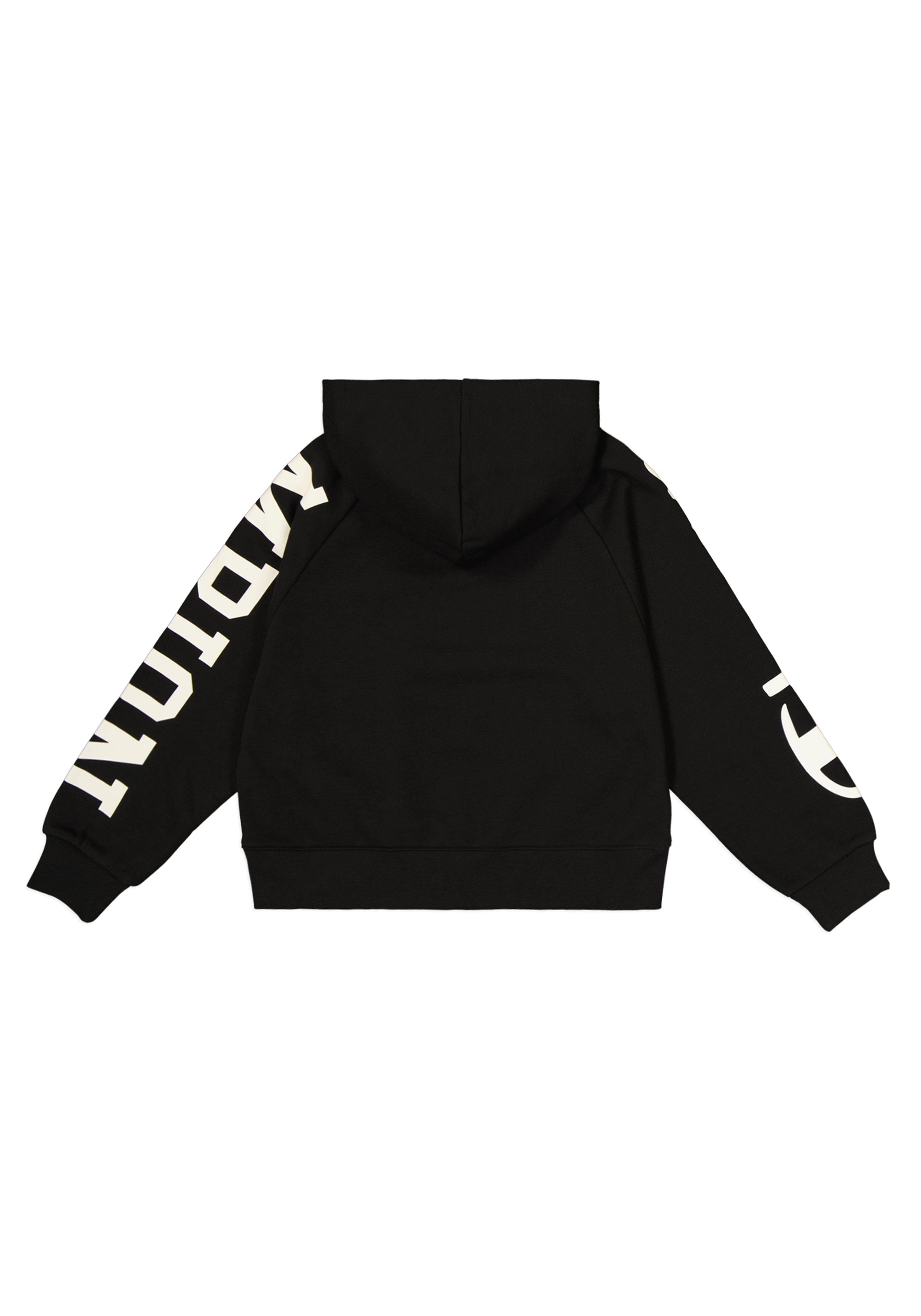 Champion Hoodie HOODED sweatshirt