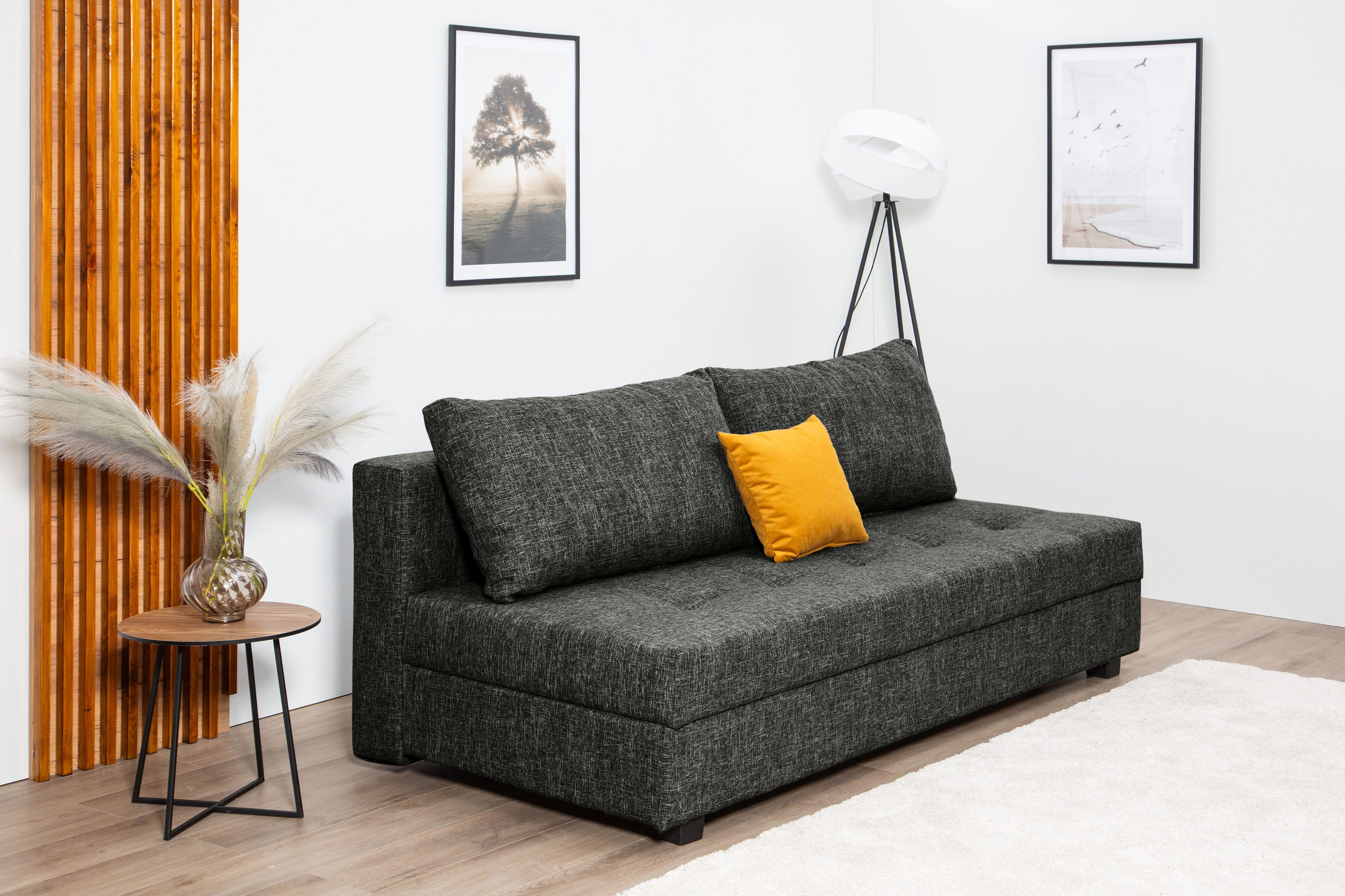 COLLECTION AB Slaapbank DARIA inclusief slaapfunctie en bedlade Slaapbank, bedfunctie, bedlade, inclusief rugkussens, veerkern