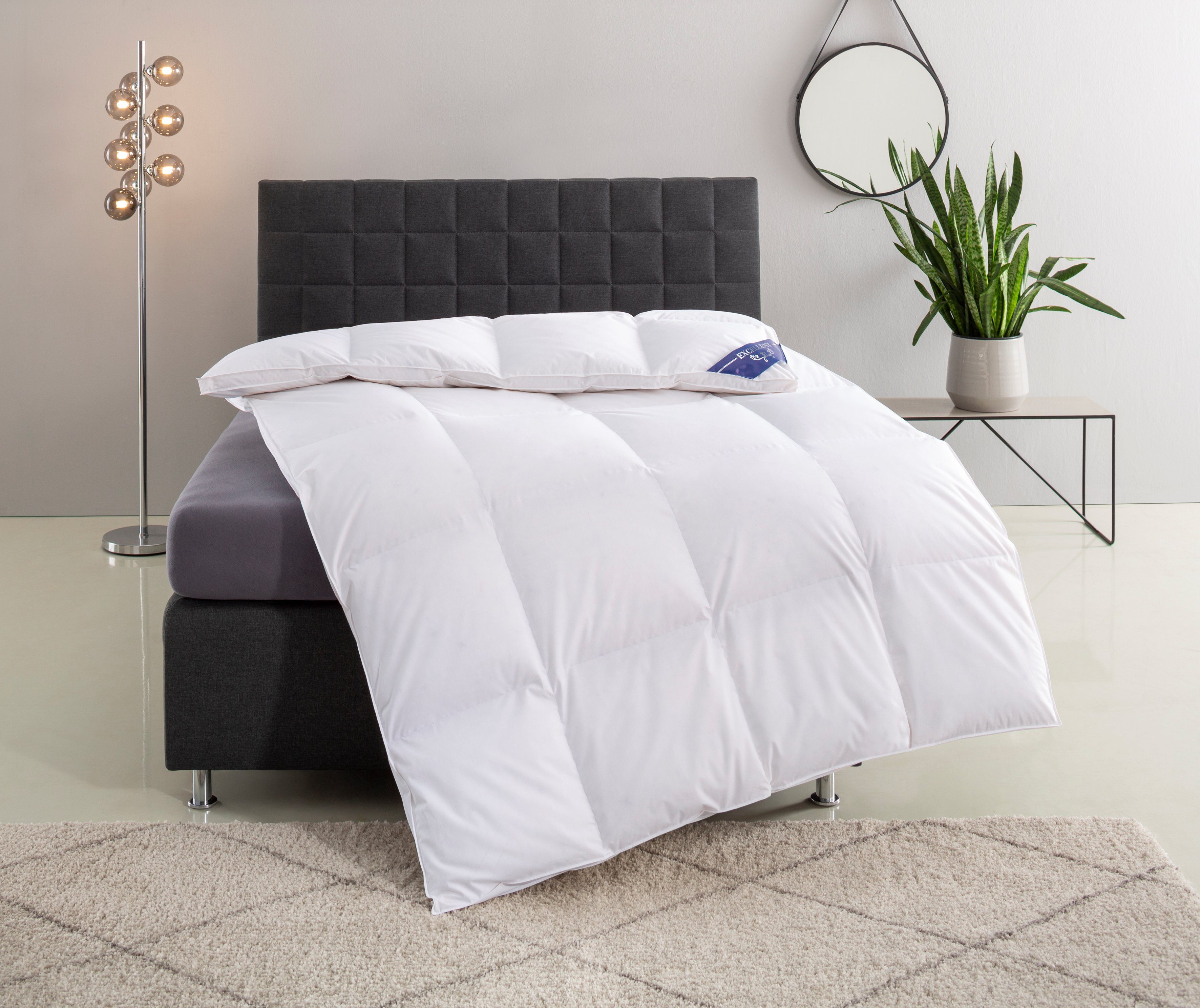 Excellent Donzen dekbed VENEDIG, dekbedden voor zomer en winter, dekbed 135 x 200 cm, 155 x 200 cm en andere maten, Made in Germany Licht