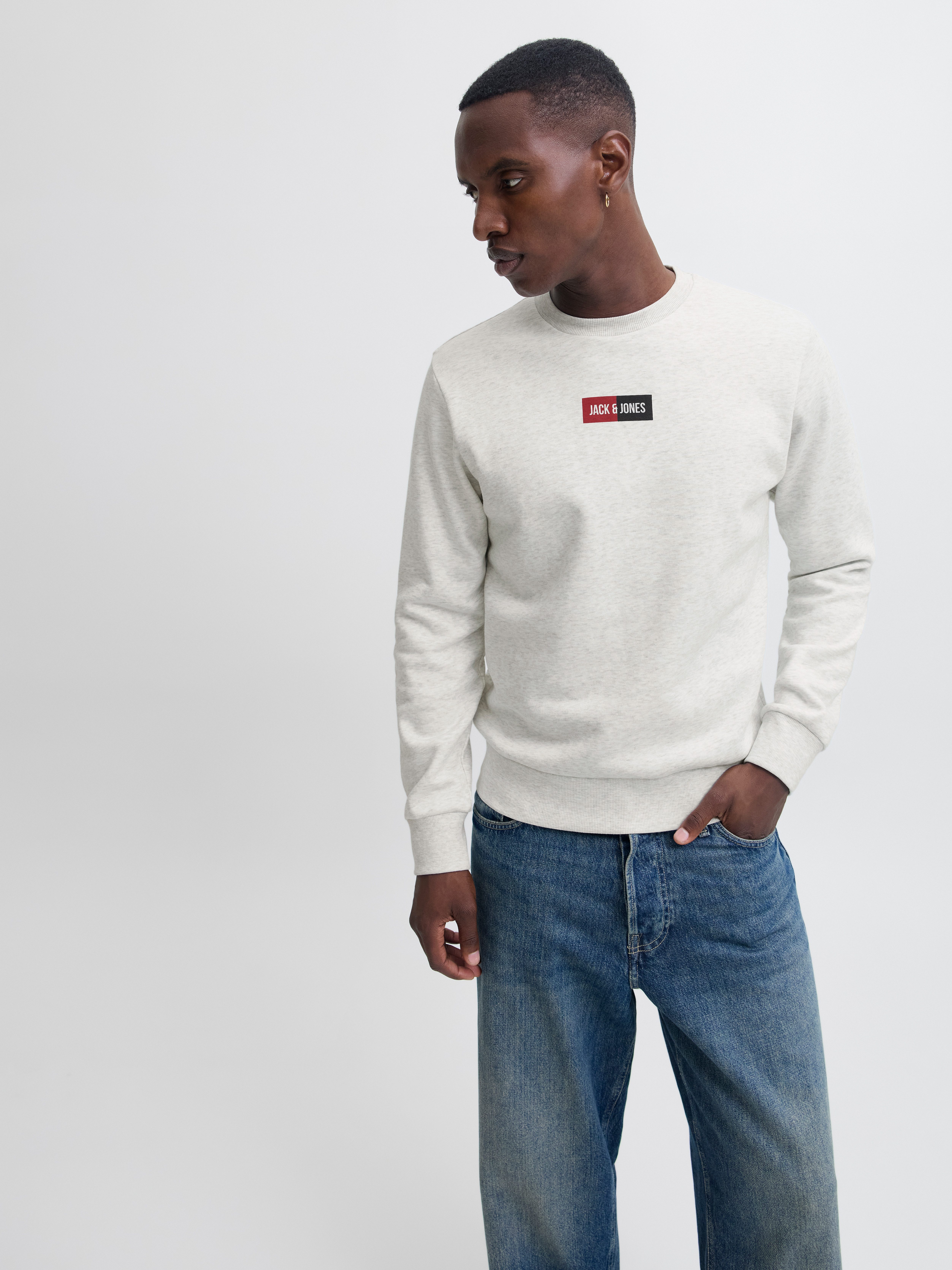 Jack & Jones Sweater JJPAN SWEAT CREW NECK