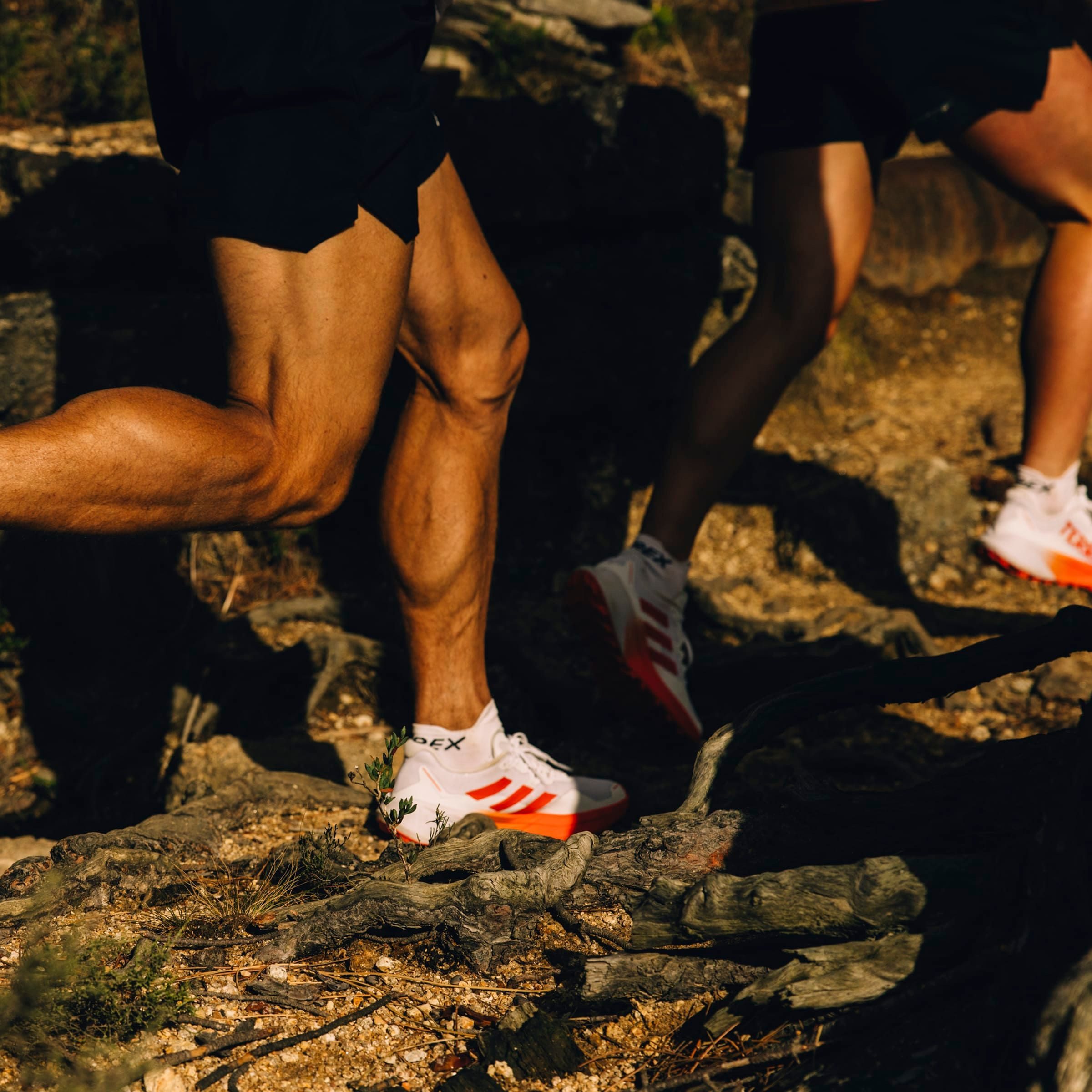 adidas TERREX Trailrunningschoenen TERREX AGRAVIC 3 TRAILRUNNING