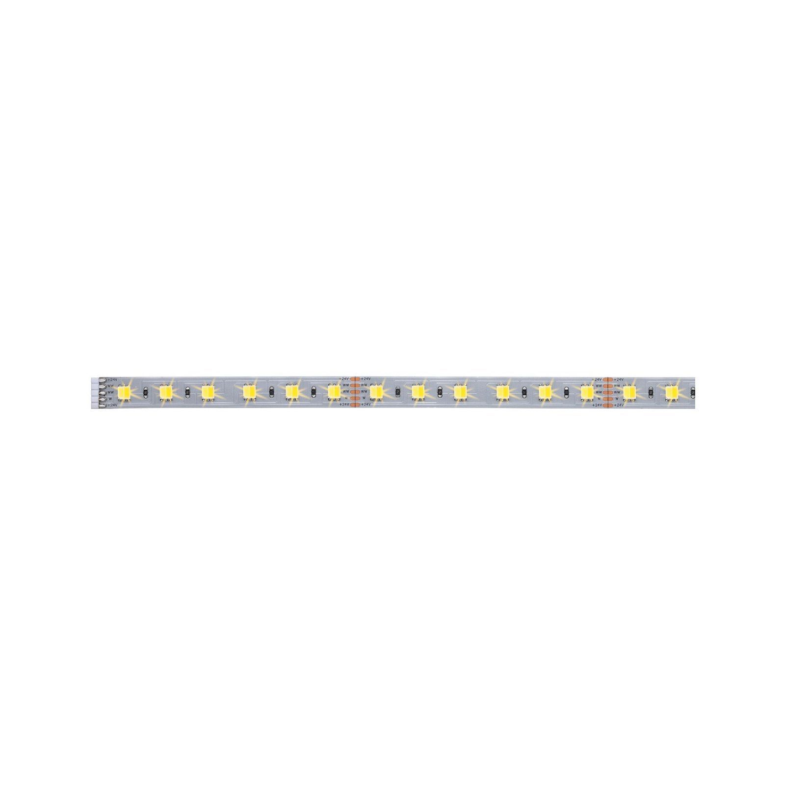 Paulmann Led-strepen MaxLED Stripe 1m 6,2W 24V zilverkleur kunststof (1 stuk)