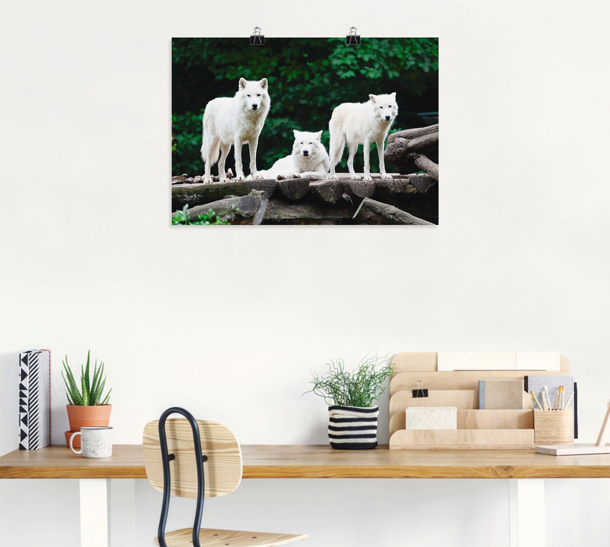 Artland Artprint Arctische wolven als artprint op linnen, poster in verschillende formaten maten