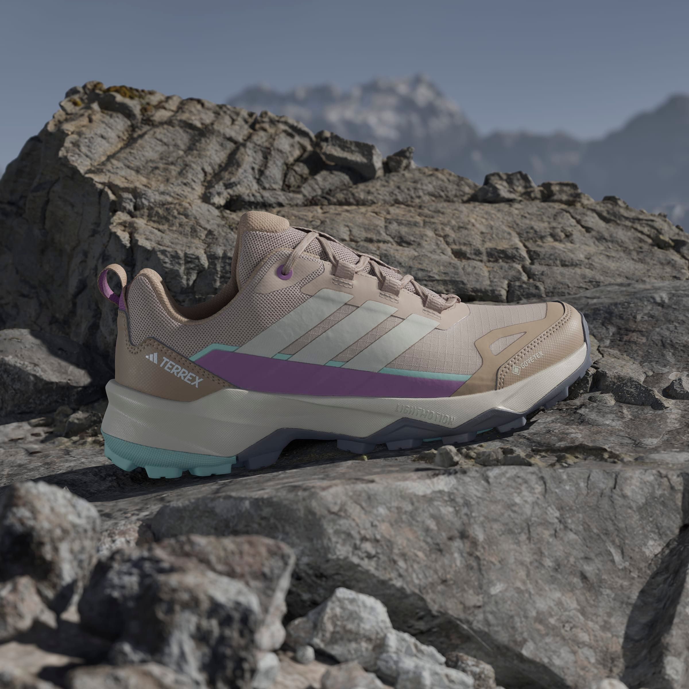 adidas TERREX Wandelschoenen TERREX SKYCHASER AX5 GORE-TEX