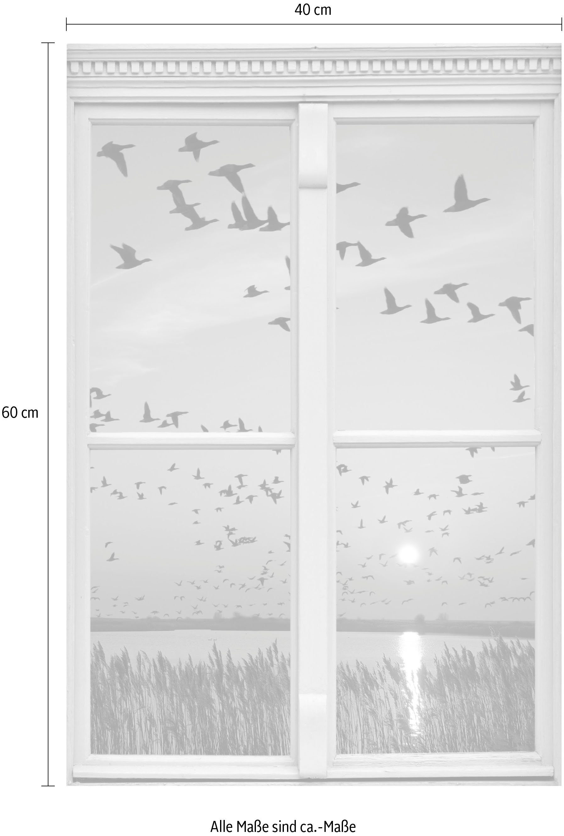 queence Wandfolie Vogelvlucht Muursticker, muurdecoratie, zelfklevend, 3D, raam