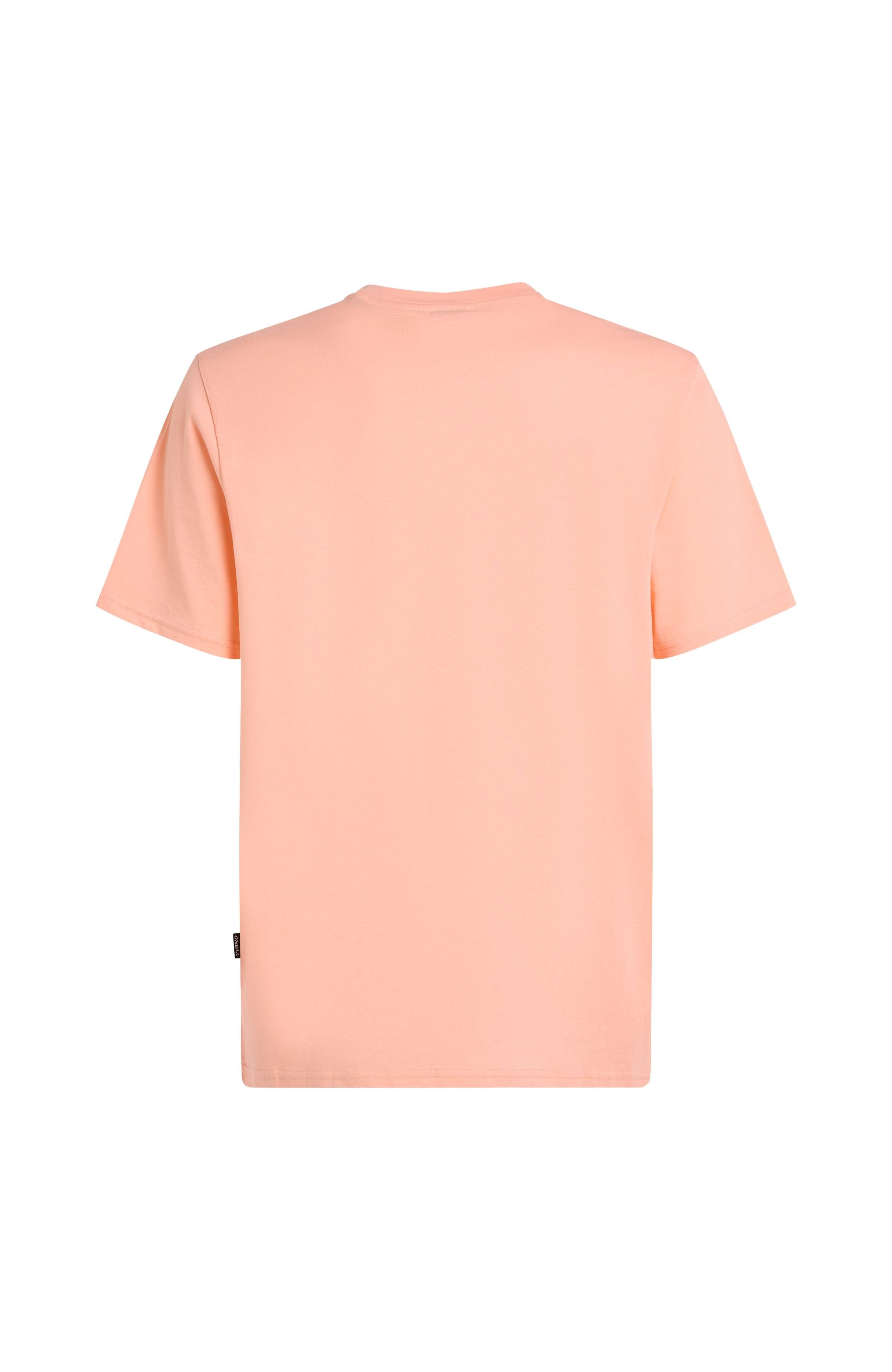 O'Neill T-shirt JACK O'NEILL MUIR T-SHIRT