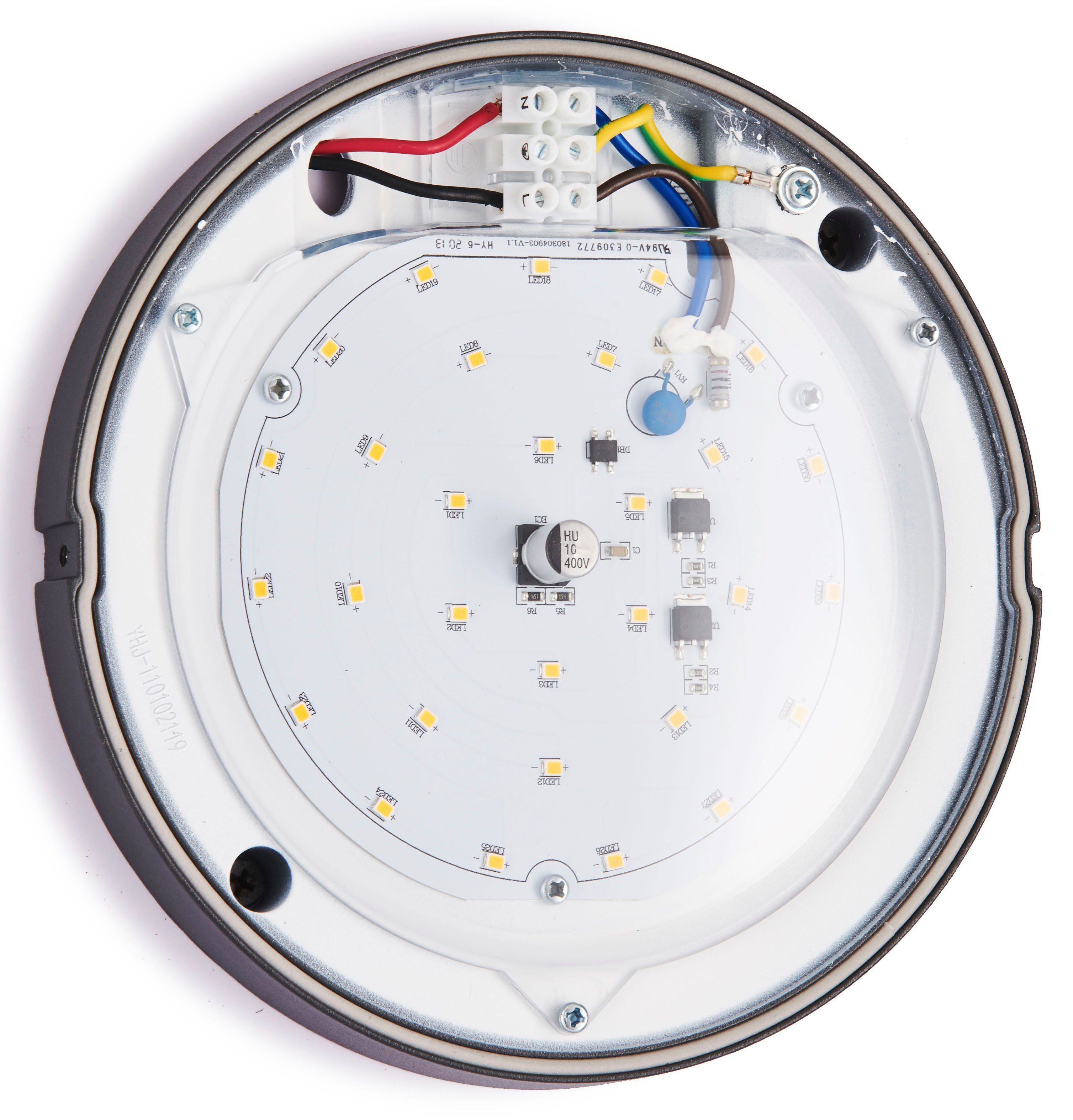 LUTEC Ledwandlamp voor buiten ROLA (1 stuk)