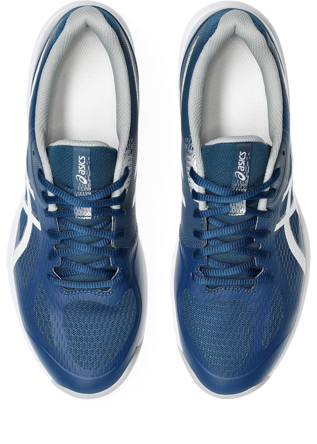 Asics Zaalschoenen COURT HUNTER FF