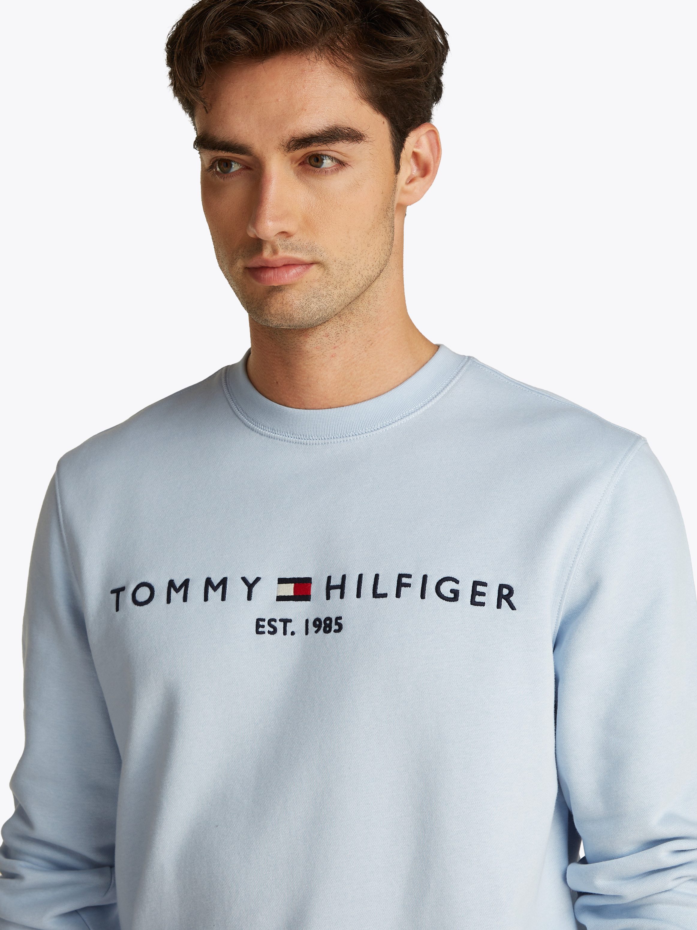 Tommy Hilfiger Sweatshirt TOMMY LOGO SWEATSHIRT met klassieke ronde hals