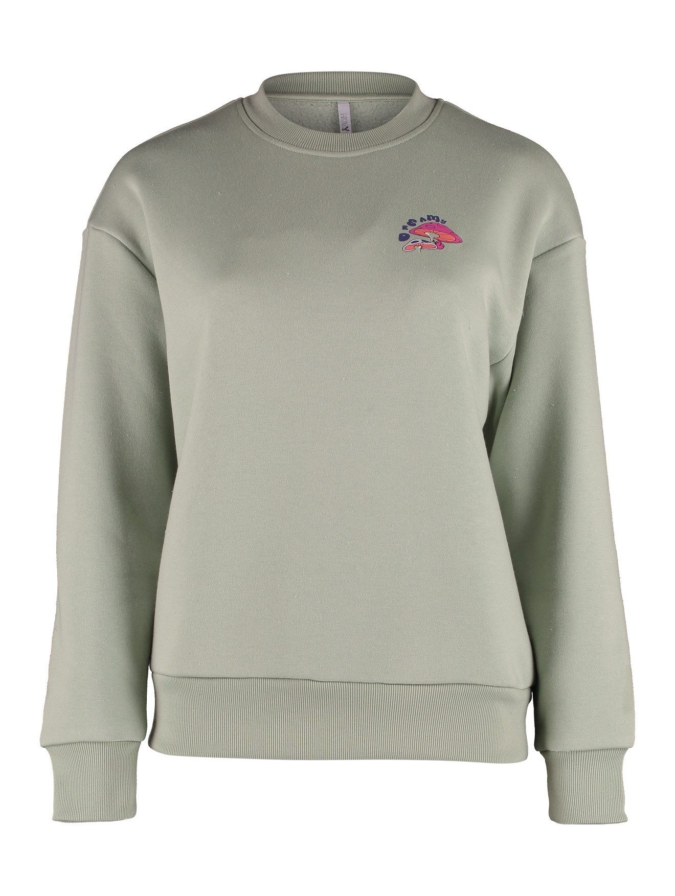 HaILYS Sweatshirt LS C SW Mi44lou