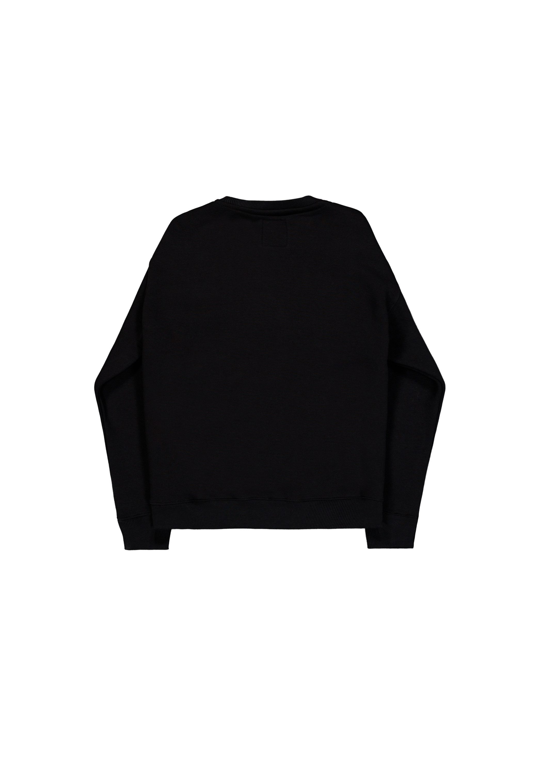 Alpha Industries Sweater Alpha Industries Men - Sweatshirts Alpha Refl. Print Sweater