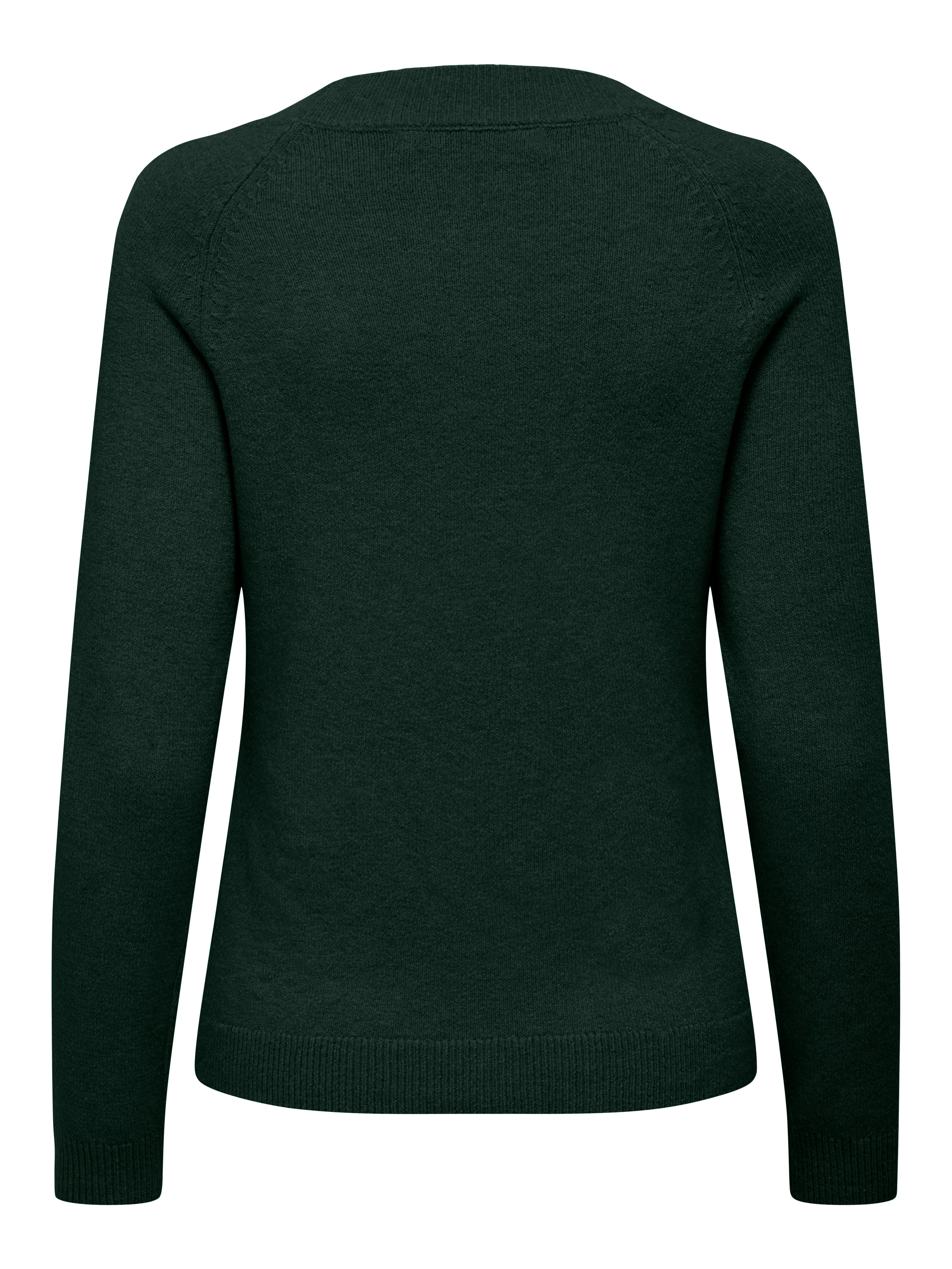 Only Trui met ronde hals ONLRICA LIFE L S PULLOVER KNT NOOS