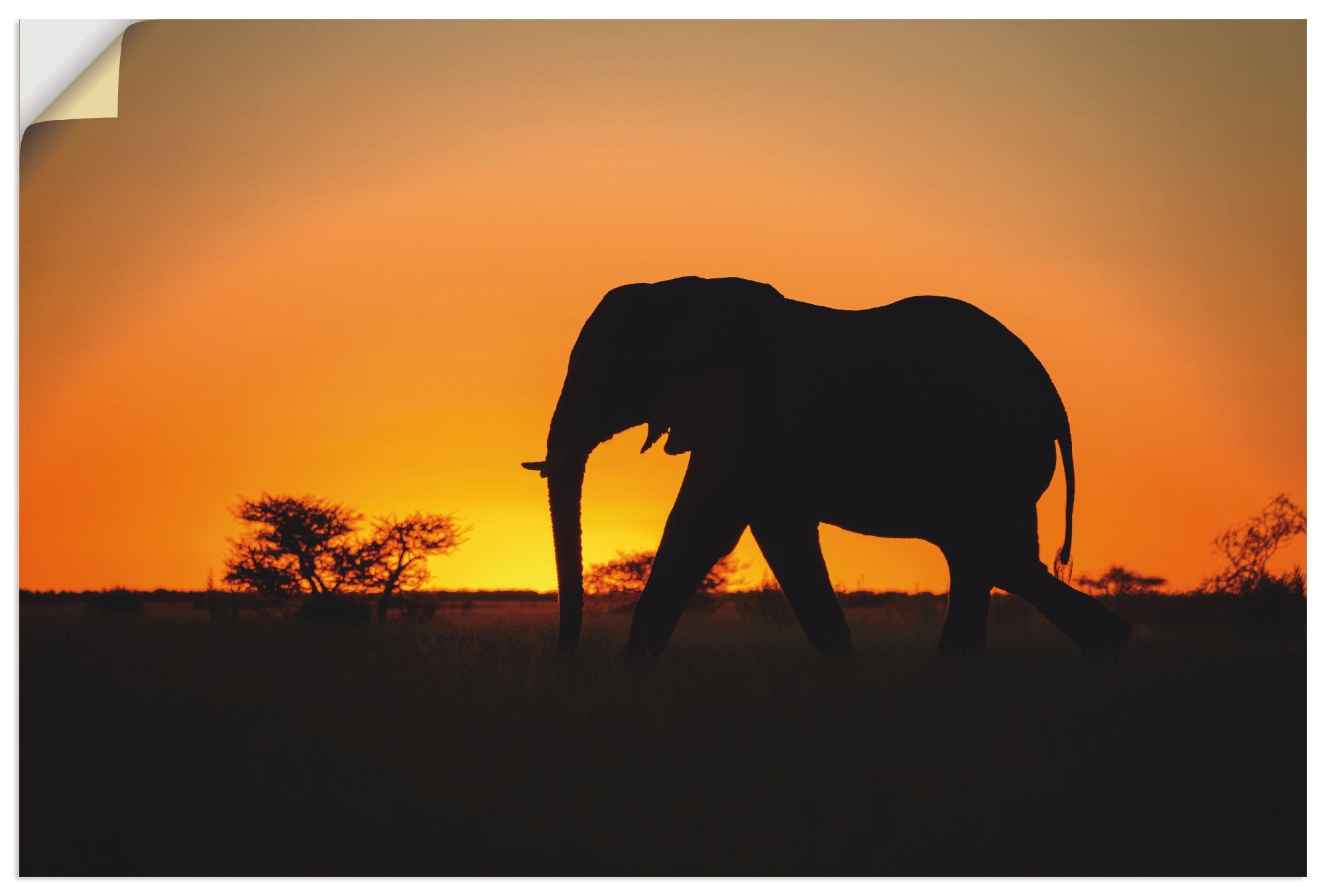 Artland Artprint Afrikaanse olifant bij zonsondergang in vele afmetingen & productsoorten - artprint van aluminium / artprint voor buiten, artprint op linnen, poster, muursticker /