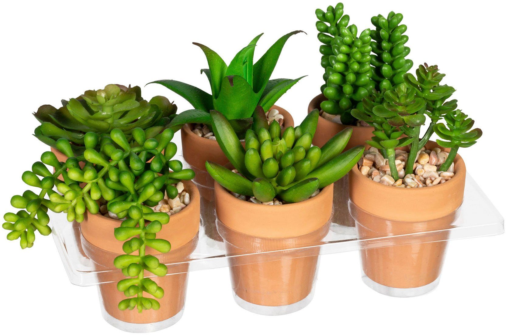 Creativ green Kunst-potplanten Mini-vetplanten in een aarden pot, set van 6 (6 stuks)