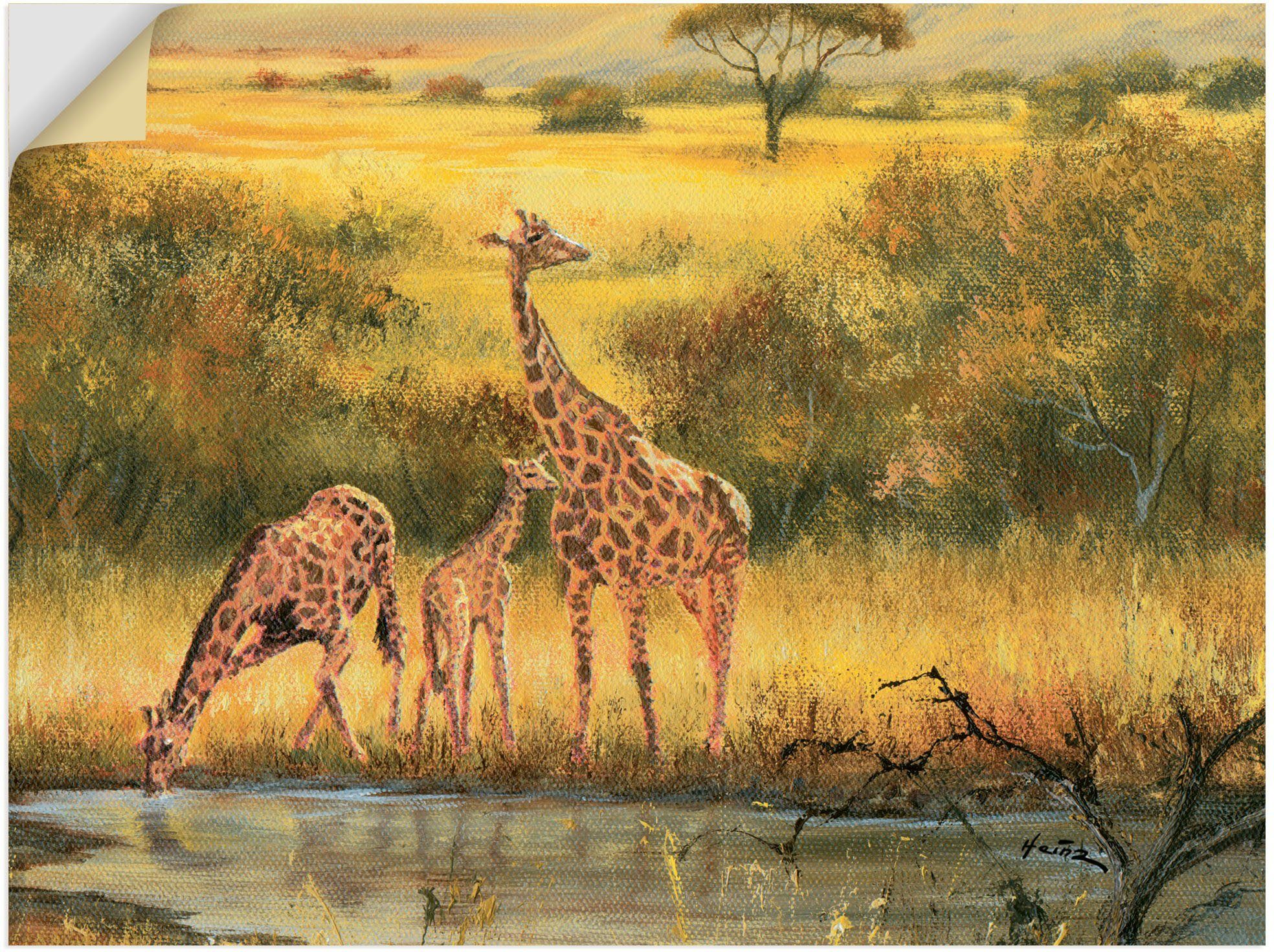 Artland Artprint Giraffen in vele afmetingen & productsoorten - artprint van aluminium / artprint voor buiten, artprint op linnen, poster, muursticker / wandfolie ook geschikt voor