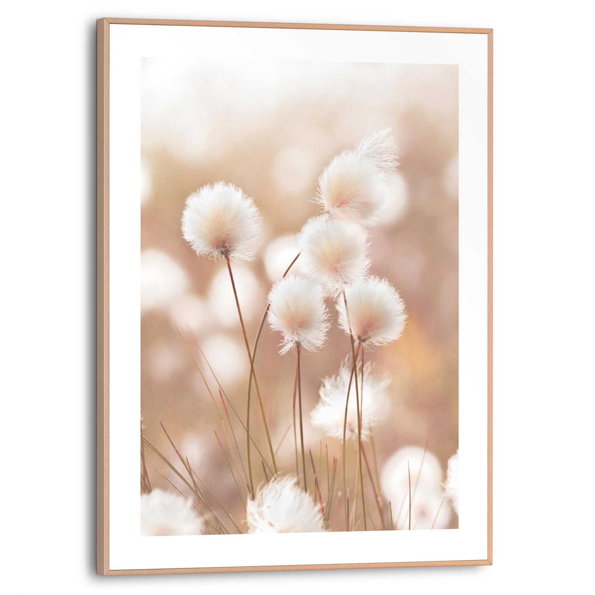 Reinders! Artprint met lijst Cotton Pops