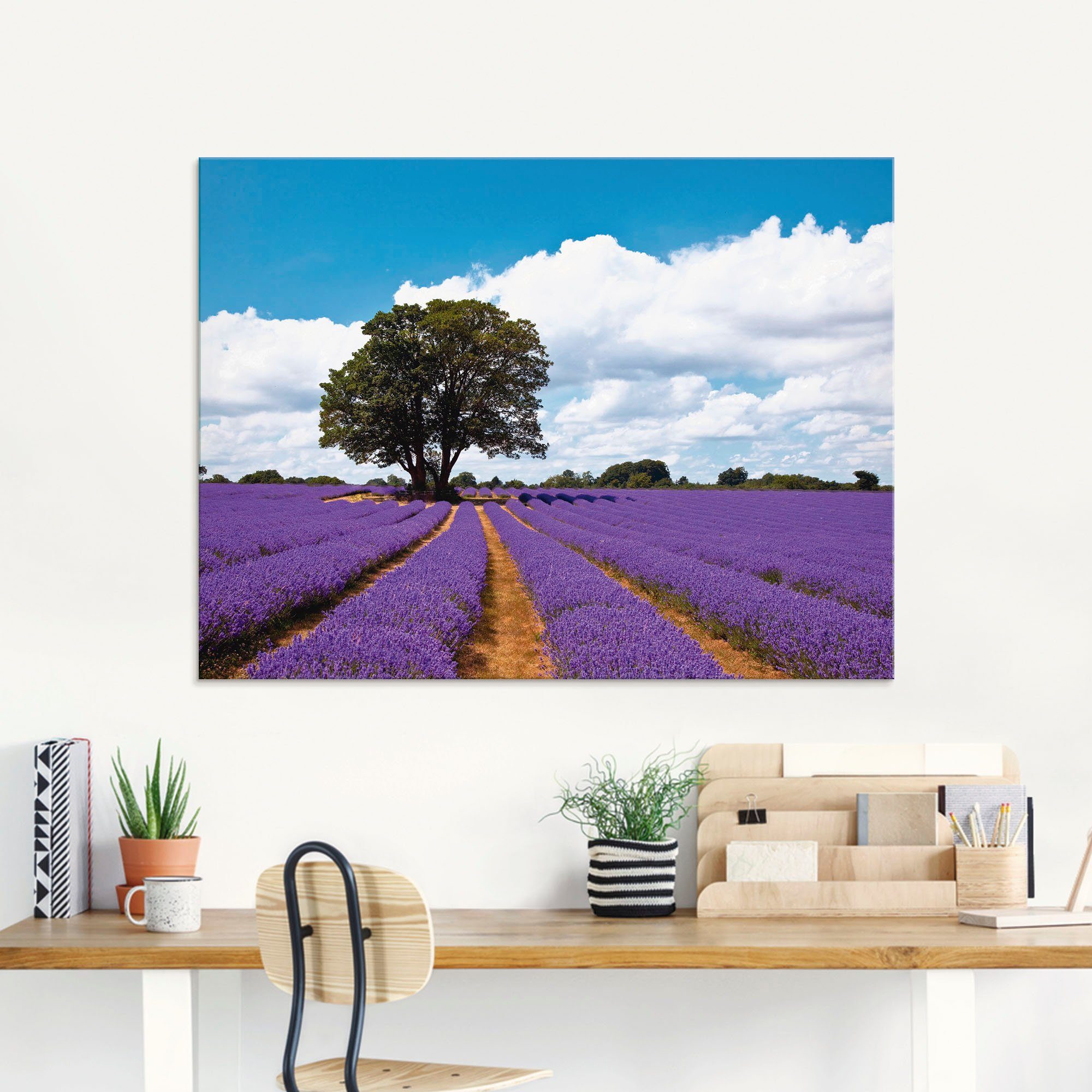 Artland Print op glas Mooi lavendelveld in de zomer