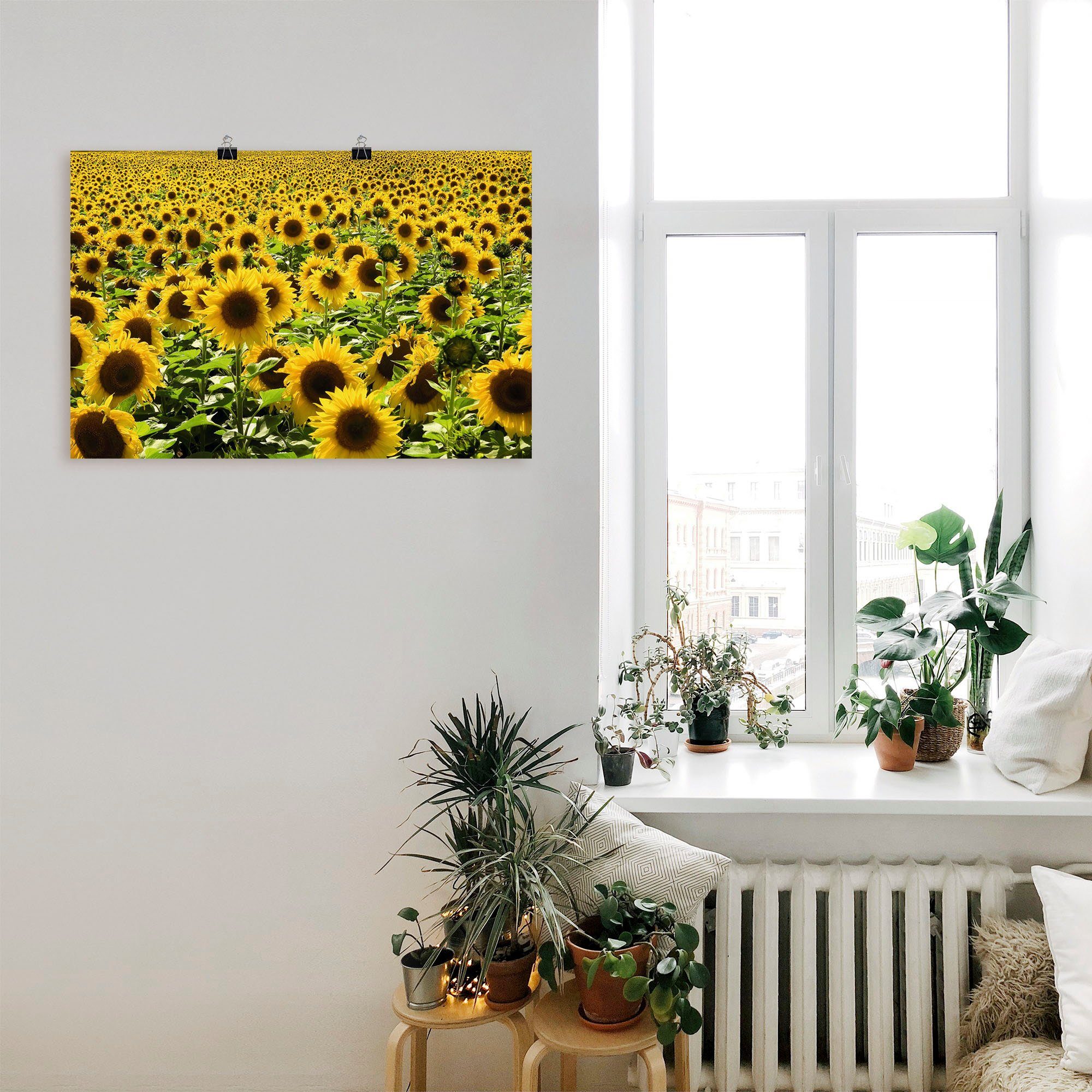 Artland Artprint Zonnebloemveld als artprint van aluminium, artprint voor buiten, artprint op linnen, poster in verschillende maten. maten