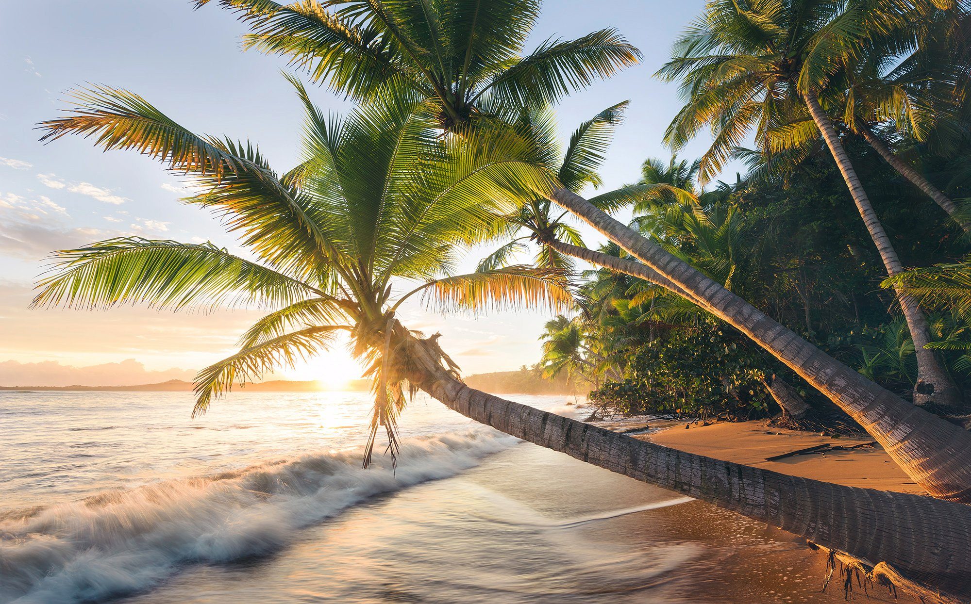 Komar fotobehang Strandgeheimnis