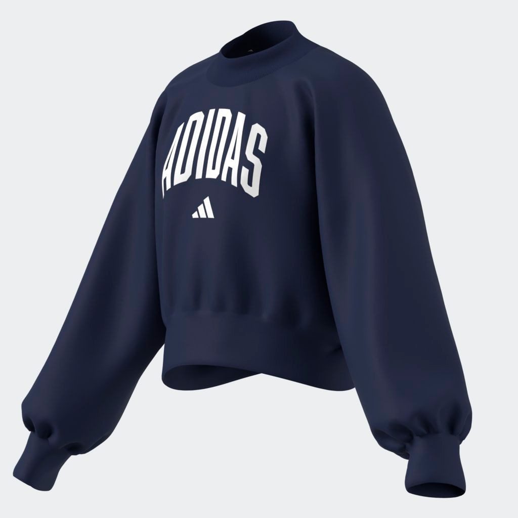 adidas Sportswear Sweatshirt JG CLGT FT SWT