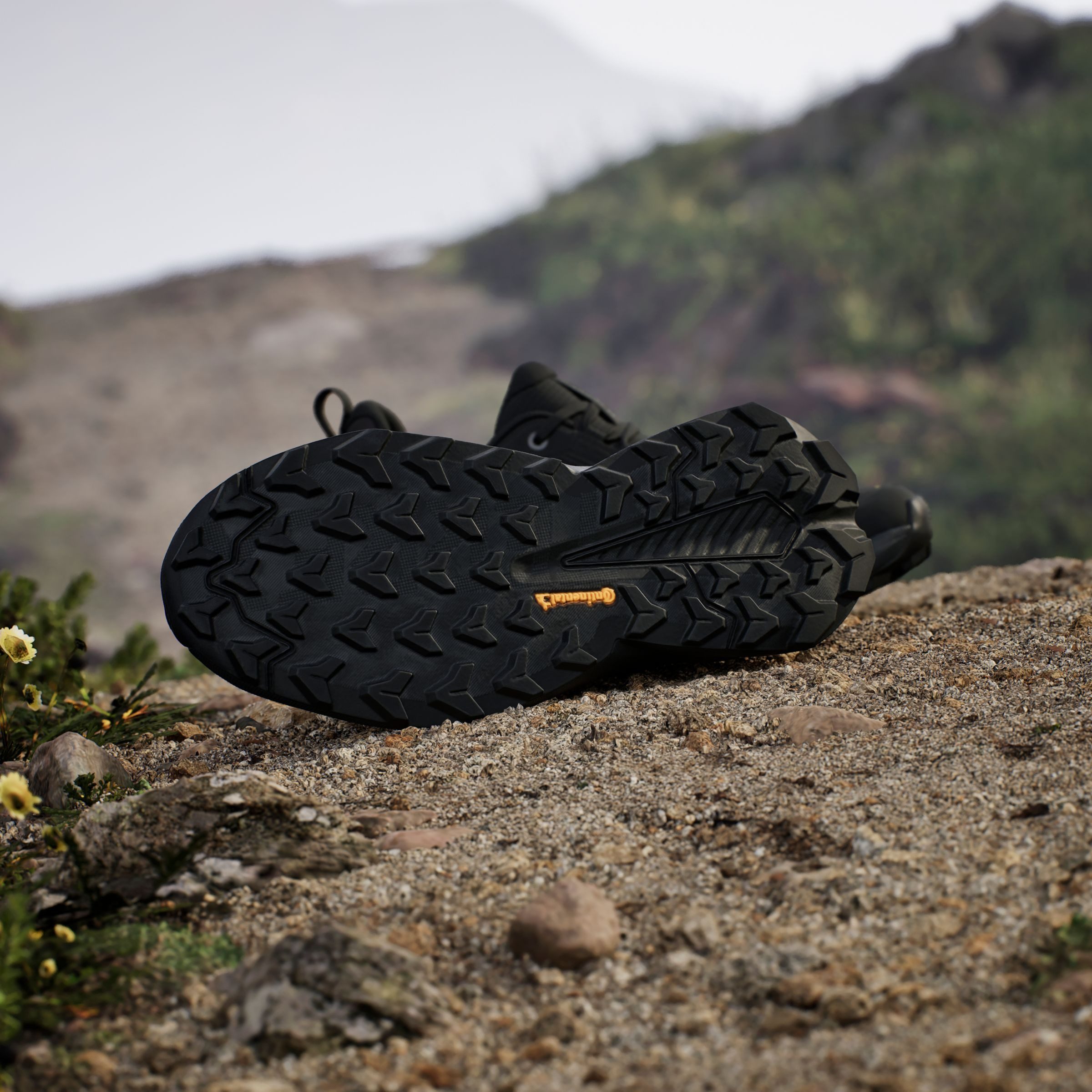 adidas TERREX Wandelschoenen TERREX TRAILMAKER 2.0
