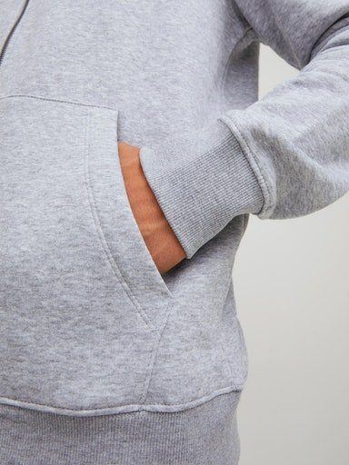 Jack & Jones Capuchonsweatvest JJEBRADLEY SWEAT ZIP HOOD NOOS